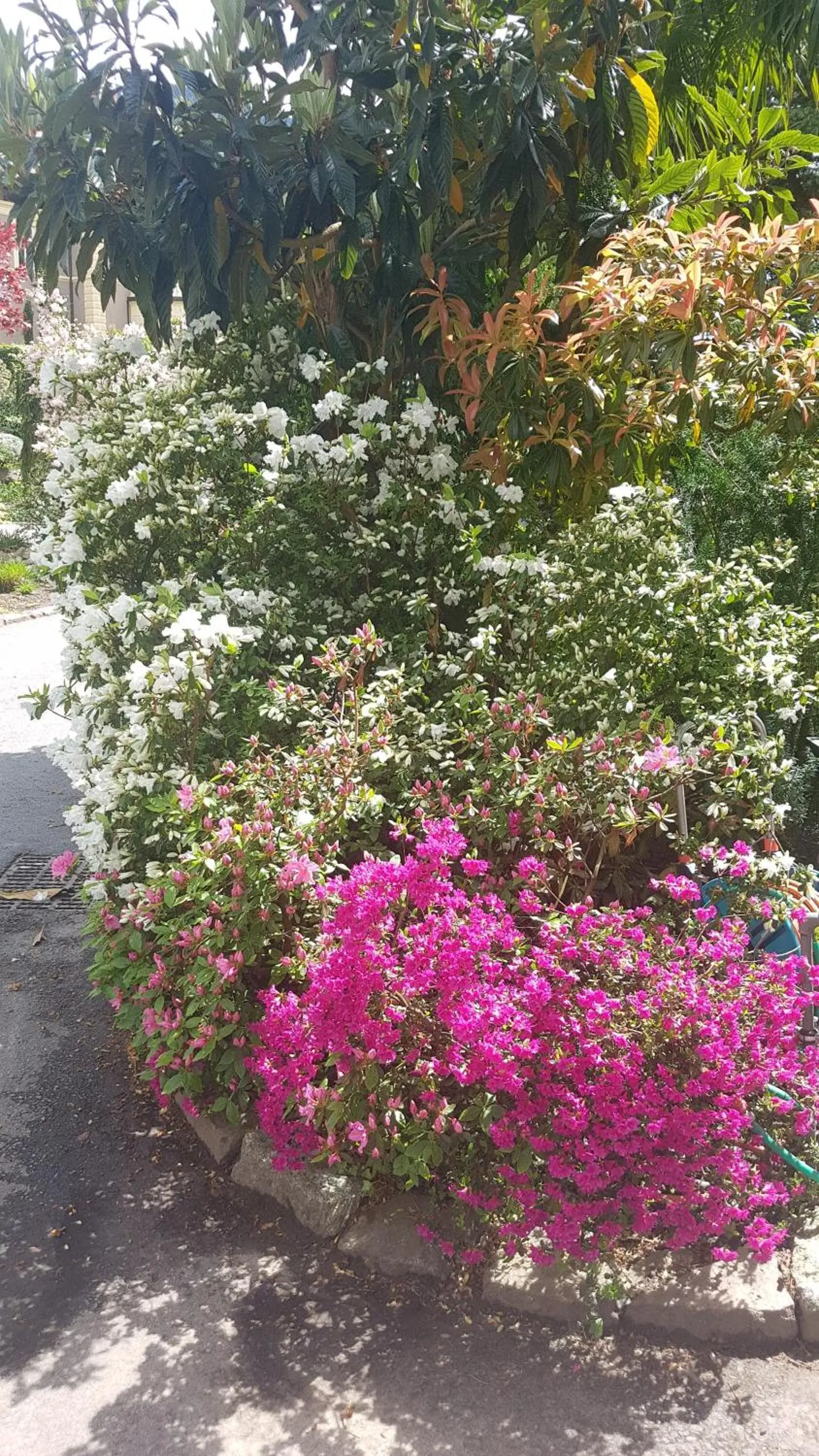 Garden in Hotel Sonnenhof