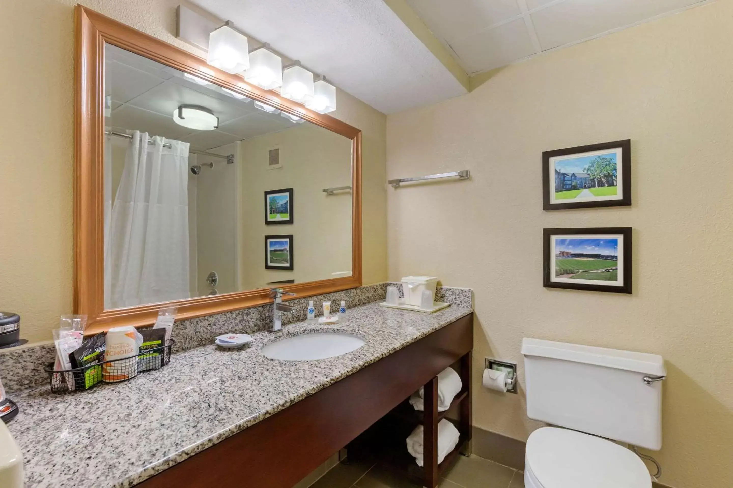 Bathroom in Comfort Inn & Suites Durham near Duke University