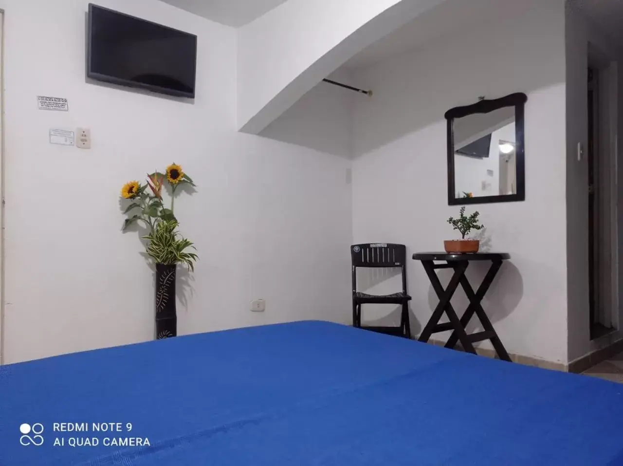 Single Room - single occupancy in Hotel Plaza Calarcá Single Room - single occupancy in Hotel Plaza Calarcá