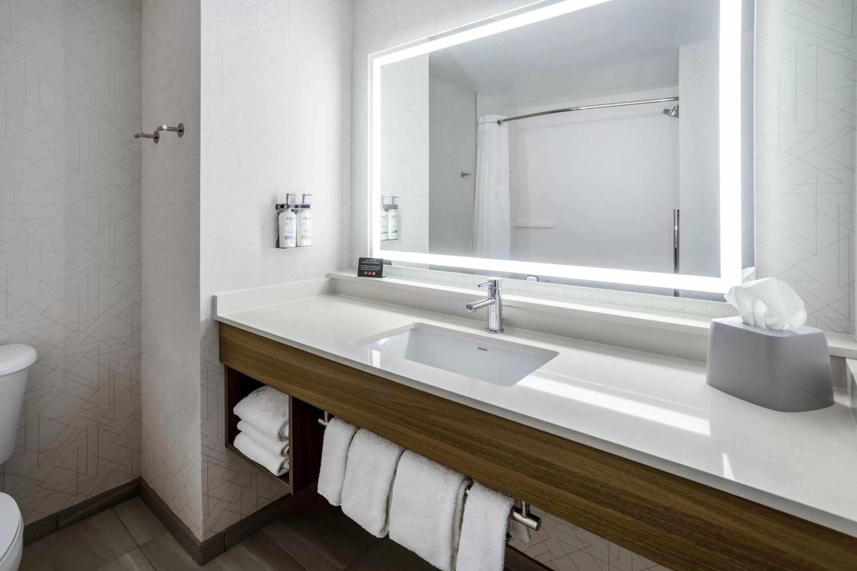 Bathroom in Holiday Inn Express and Suites Tampa I-75 at Bruce B. Downs by IHG
