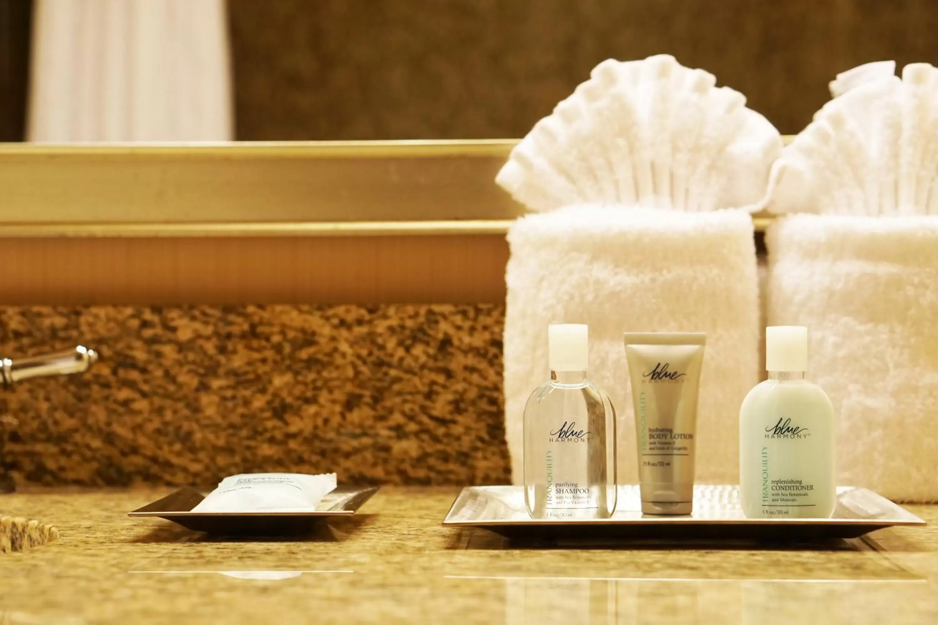 Bathroom in Wyndham Chicago O'Hare Bathroom in Wyndham Chicago O'Hare