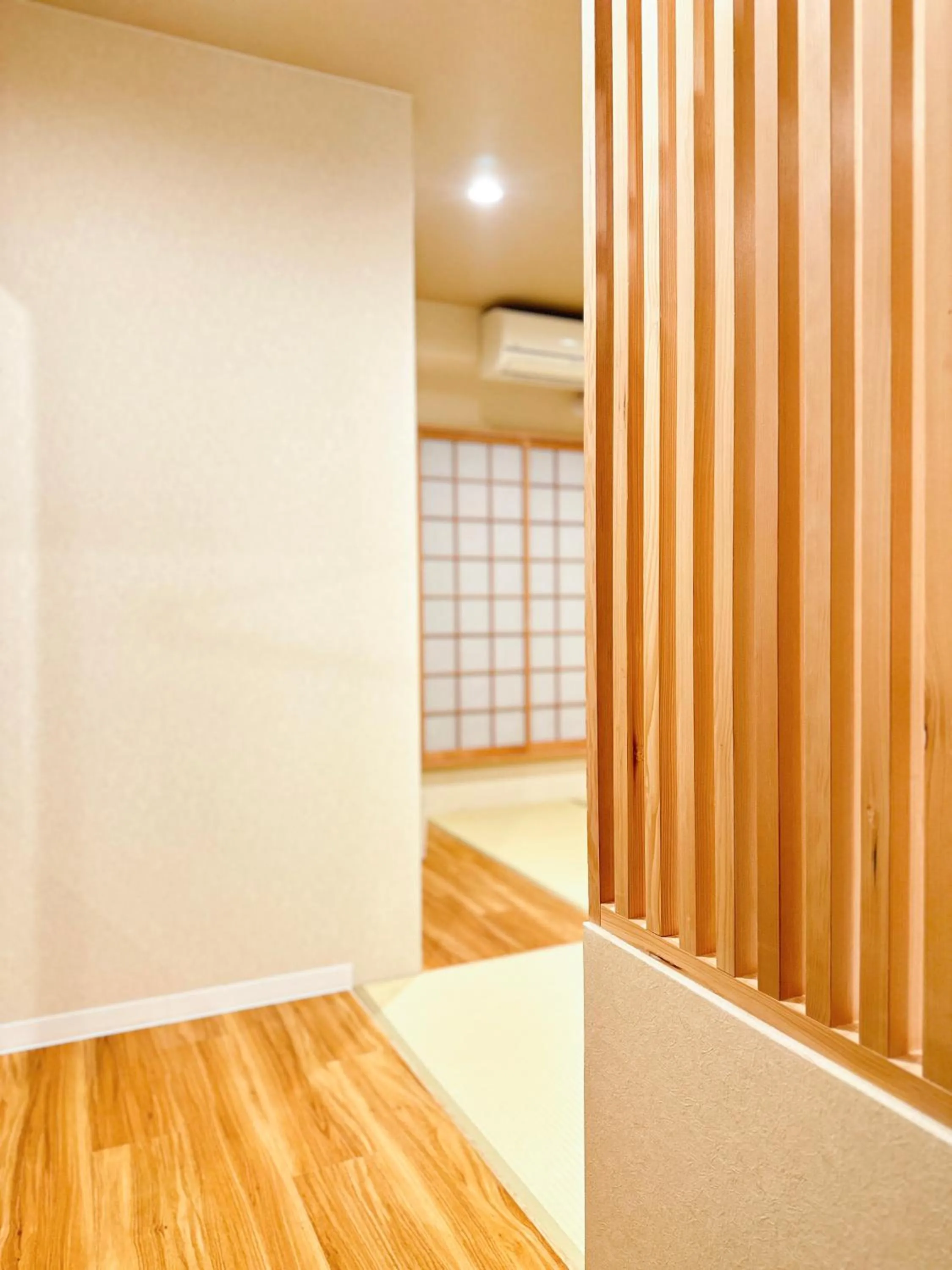 Photo of the whole room in Osaka Ebisu Hotel