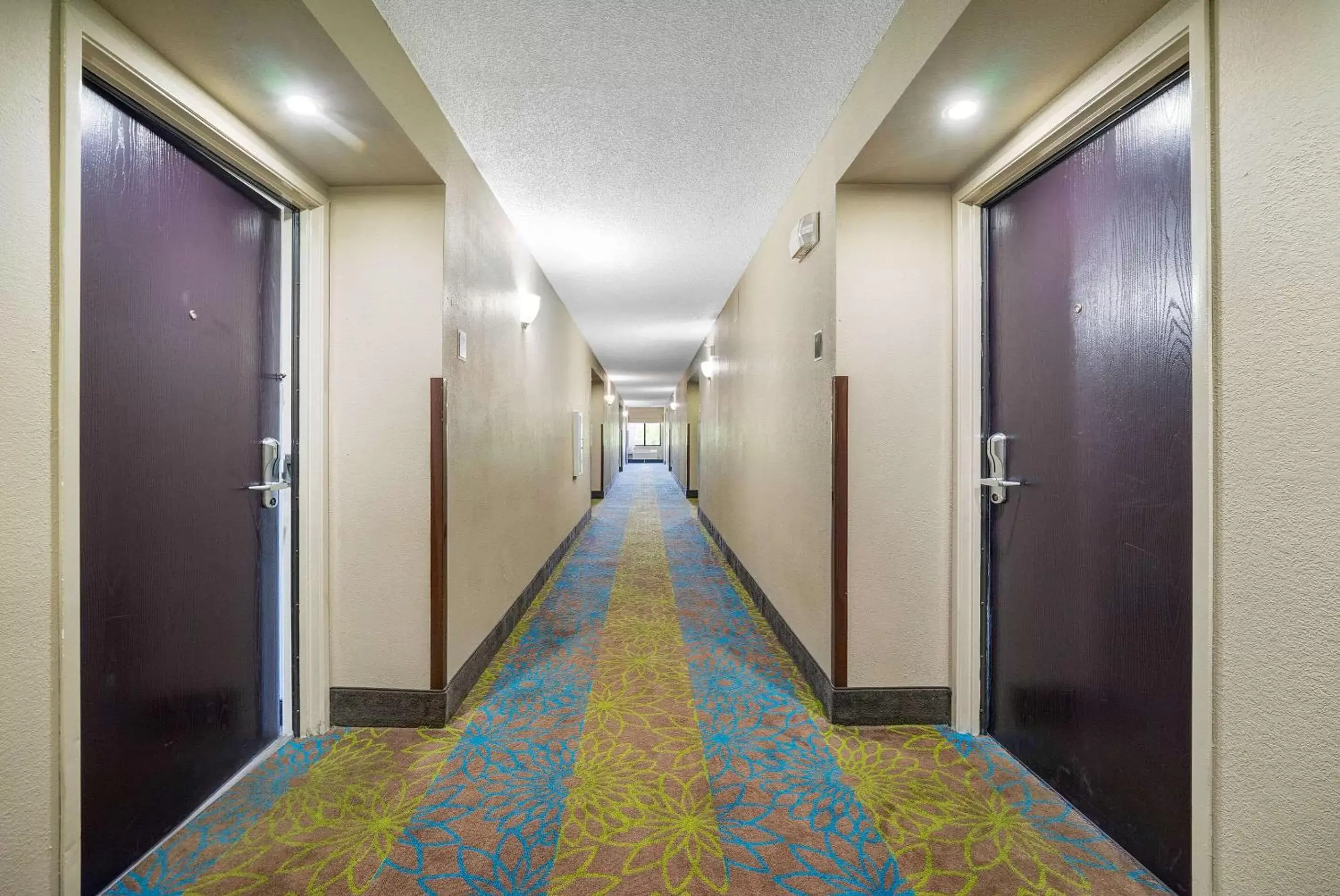 Lobby or reception in Sleep Inn Leesburg Chain of Lakes