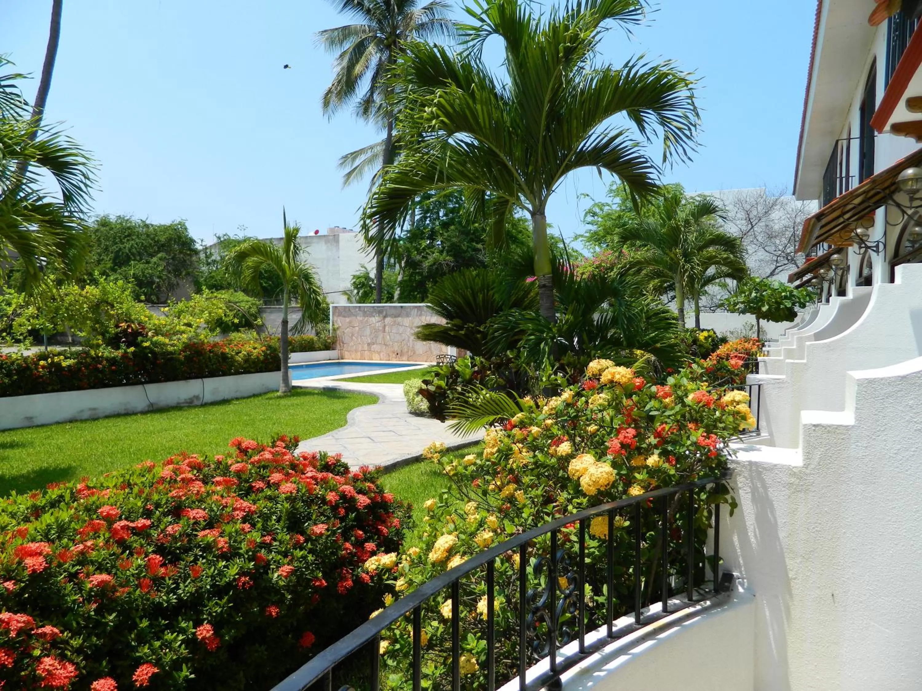 Garden view in Hotel Pez Vela