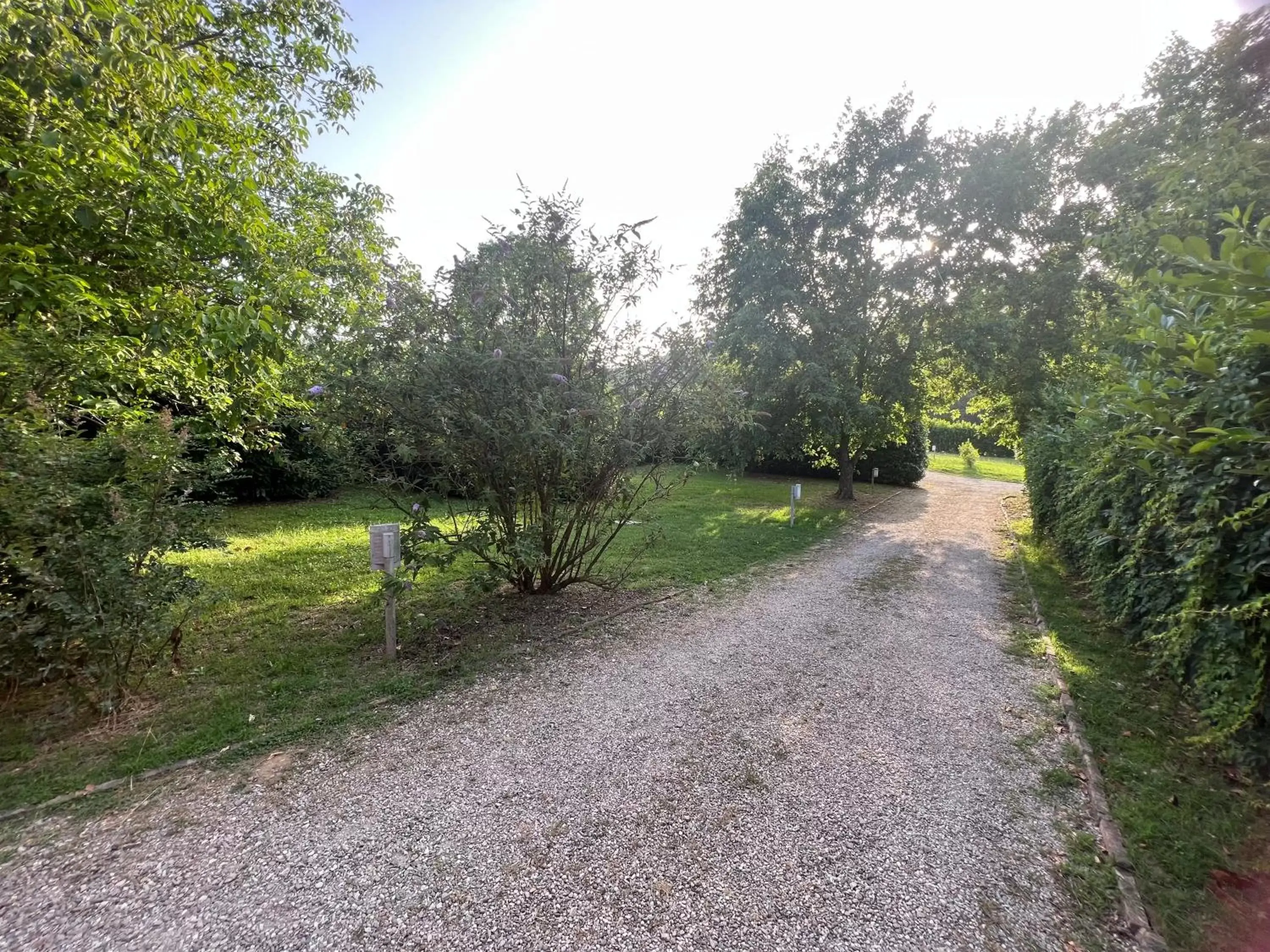 Garden in Cà Palazzo Malvasia - BolognaRooms