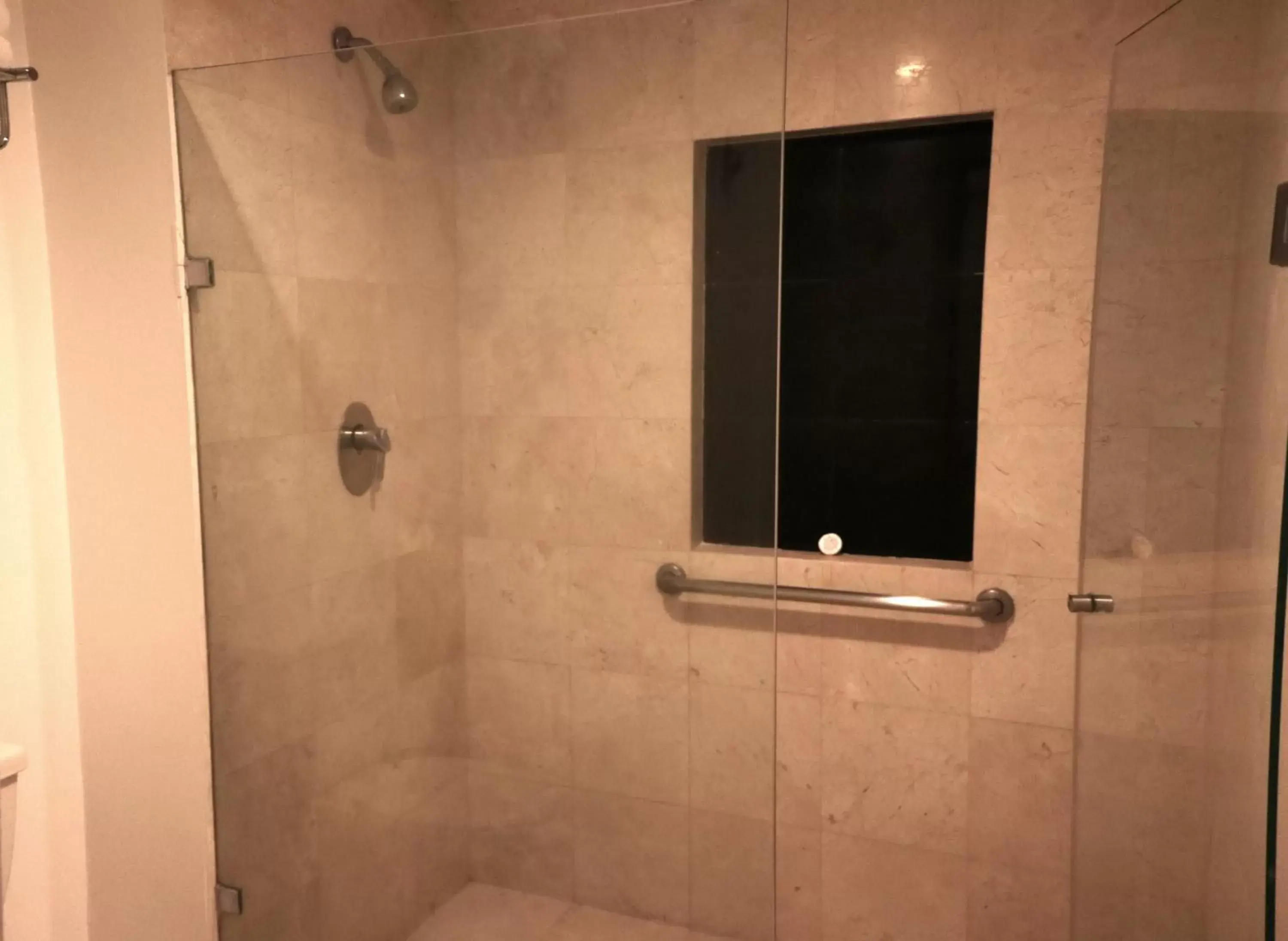 Shower, Bathroom in Hotel & Suites PF