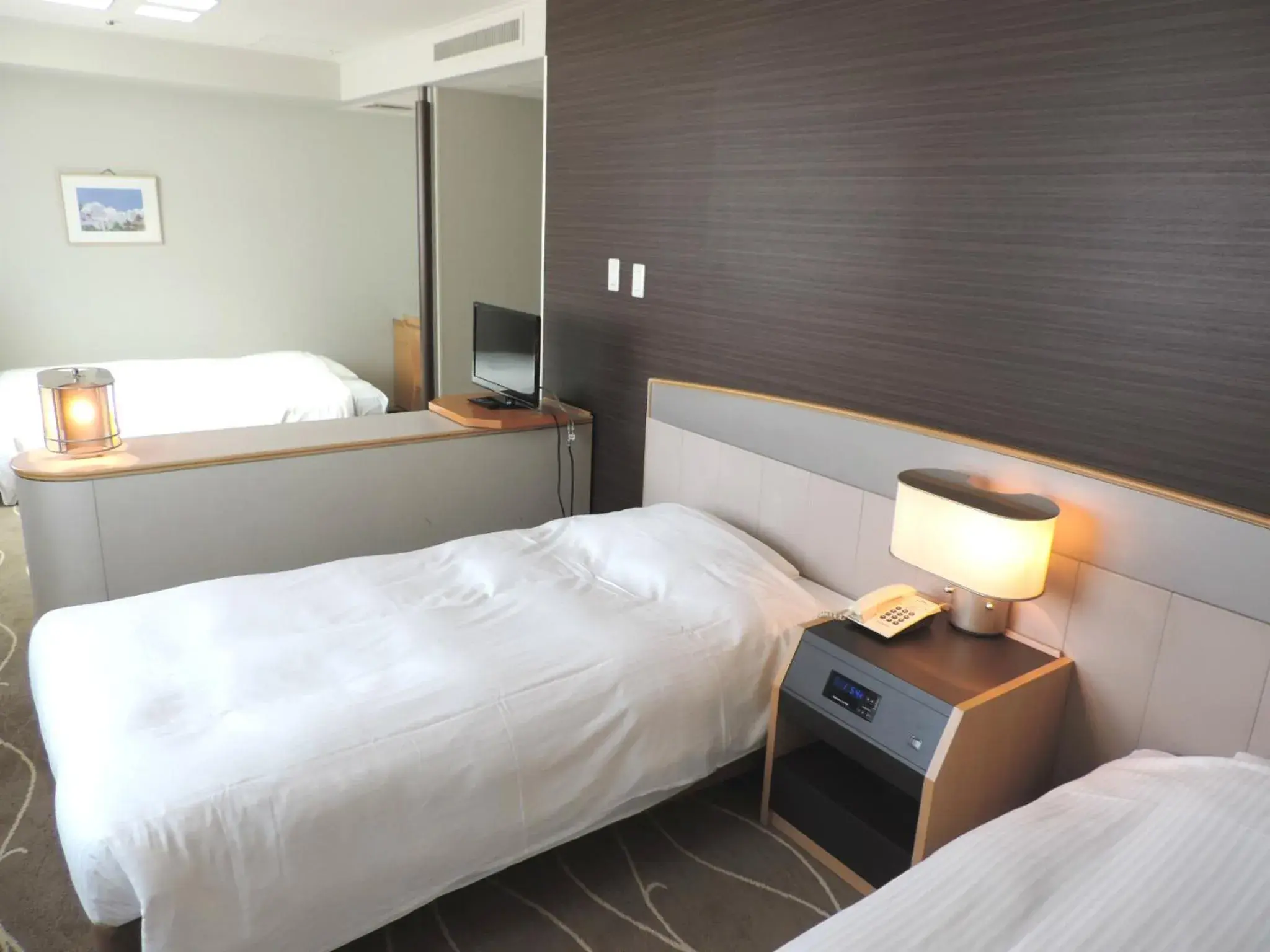 Photo of the whole room, Room Photo in Hotel Awina Osaka