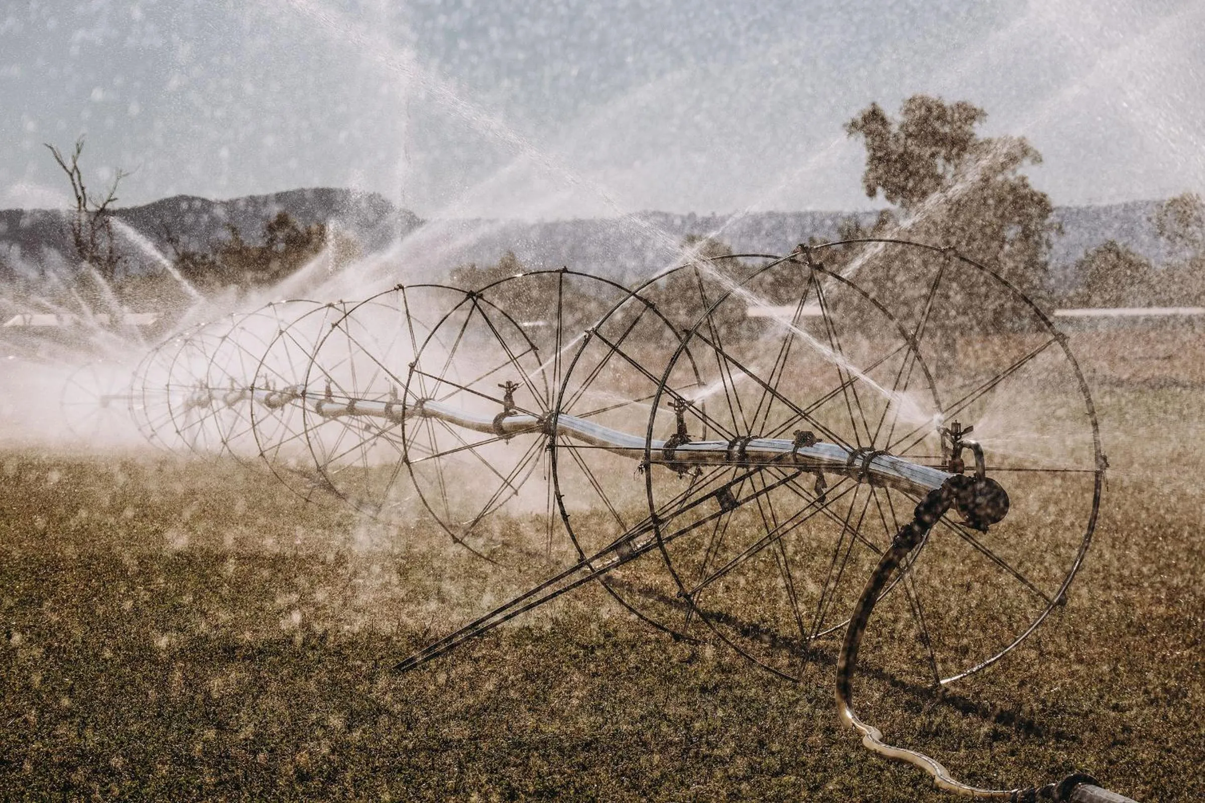 Natural landscape in Denman Motor Inn