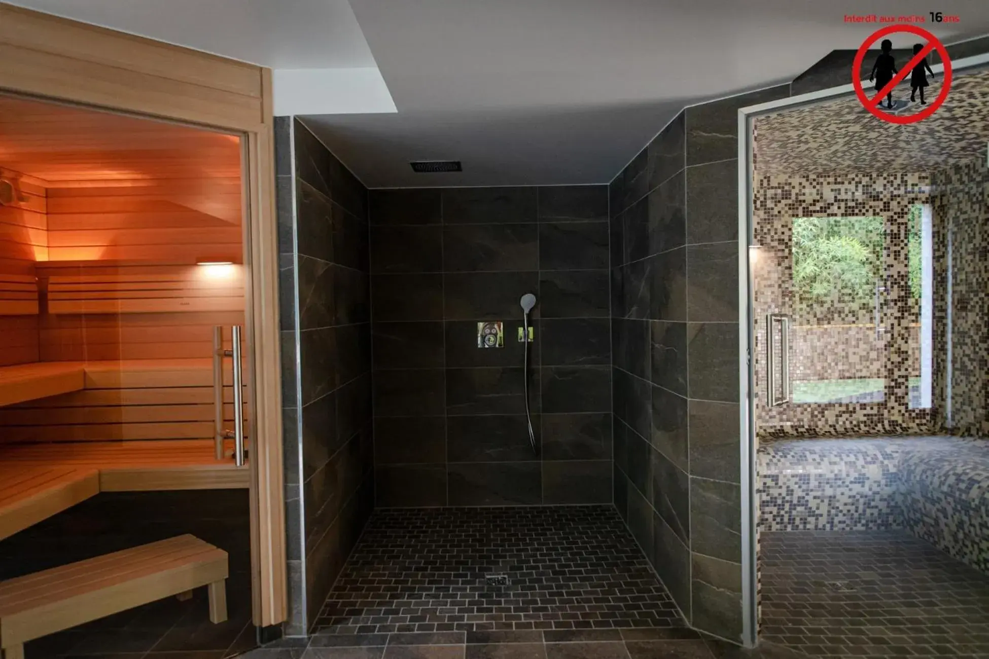 Sauna, Bathroom in Europe Haguenau – Hotel & Spa