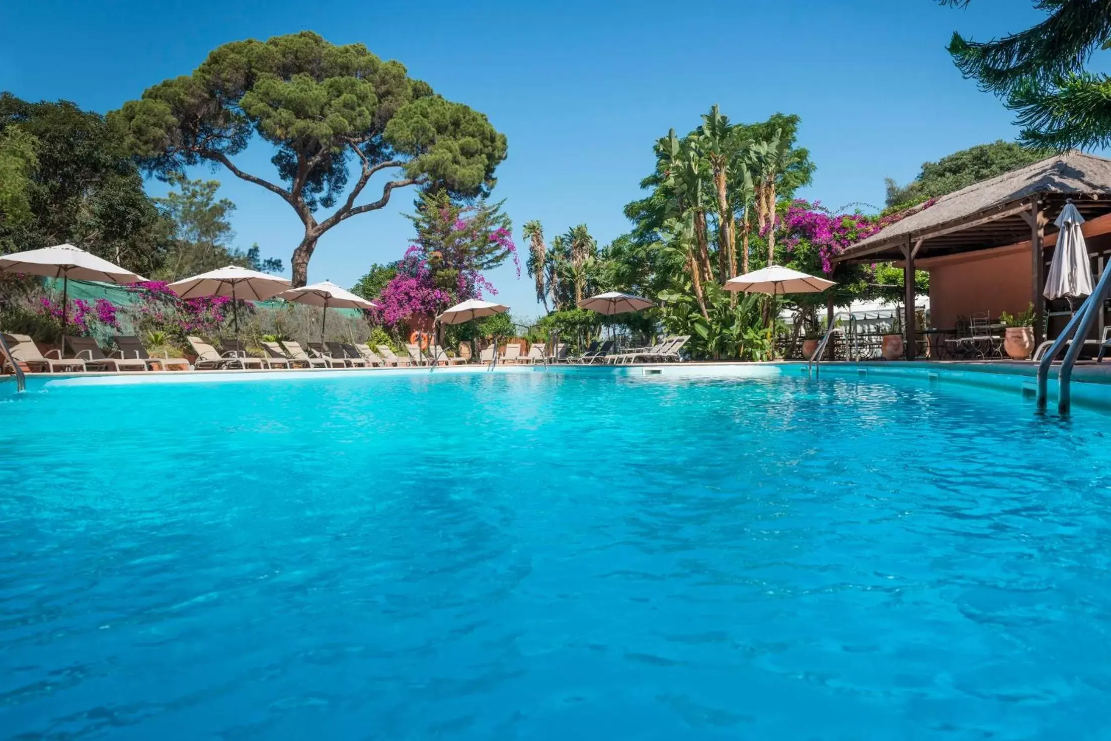 Swimming Pool in Rock Hotel