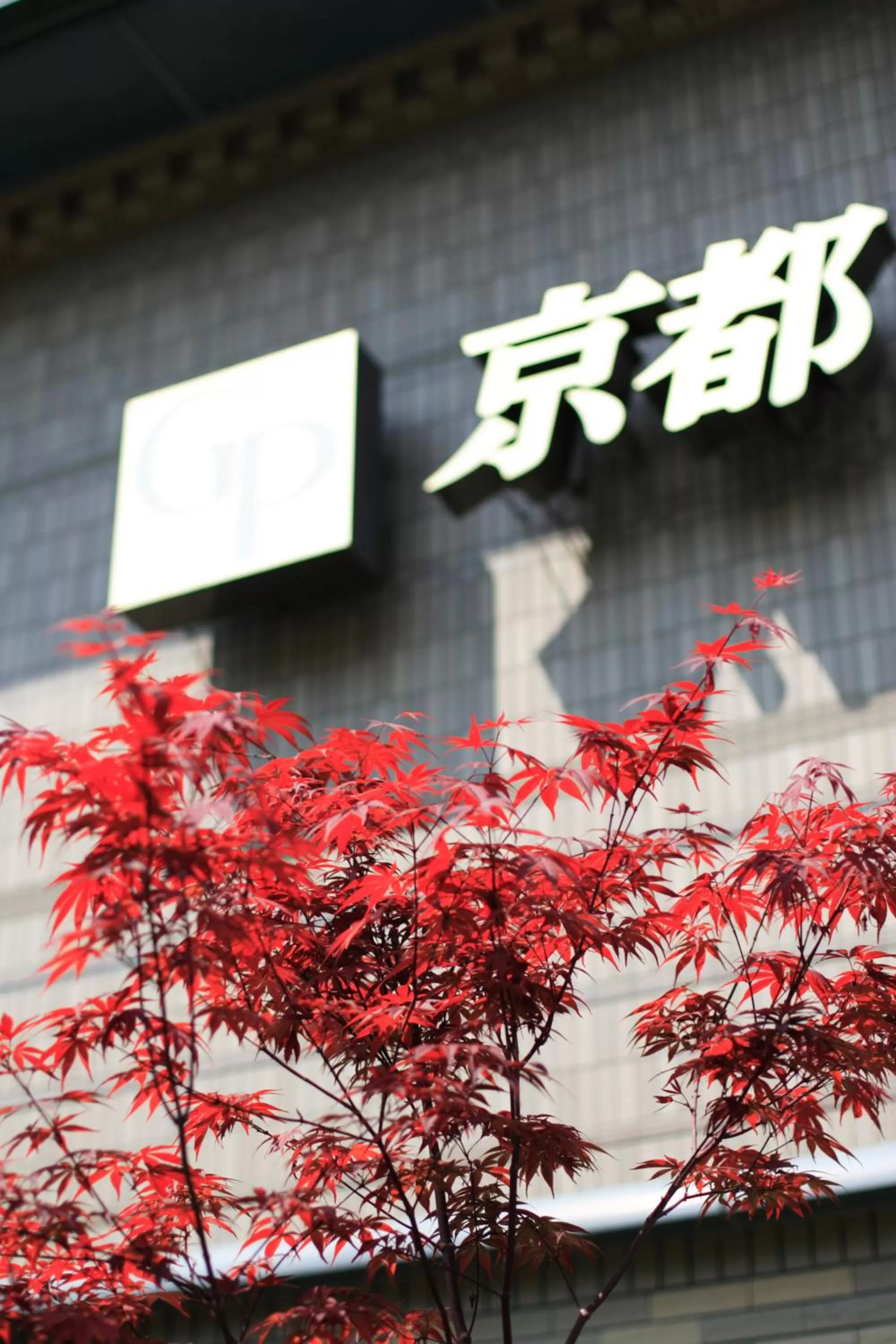 Property building in Kyoto Garden Palace