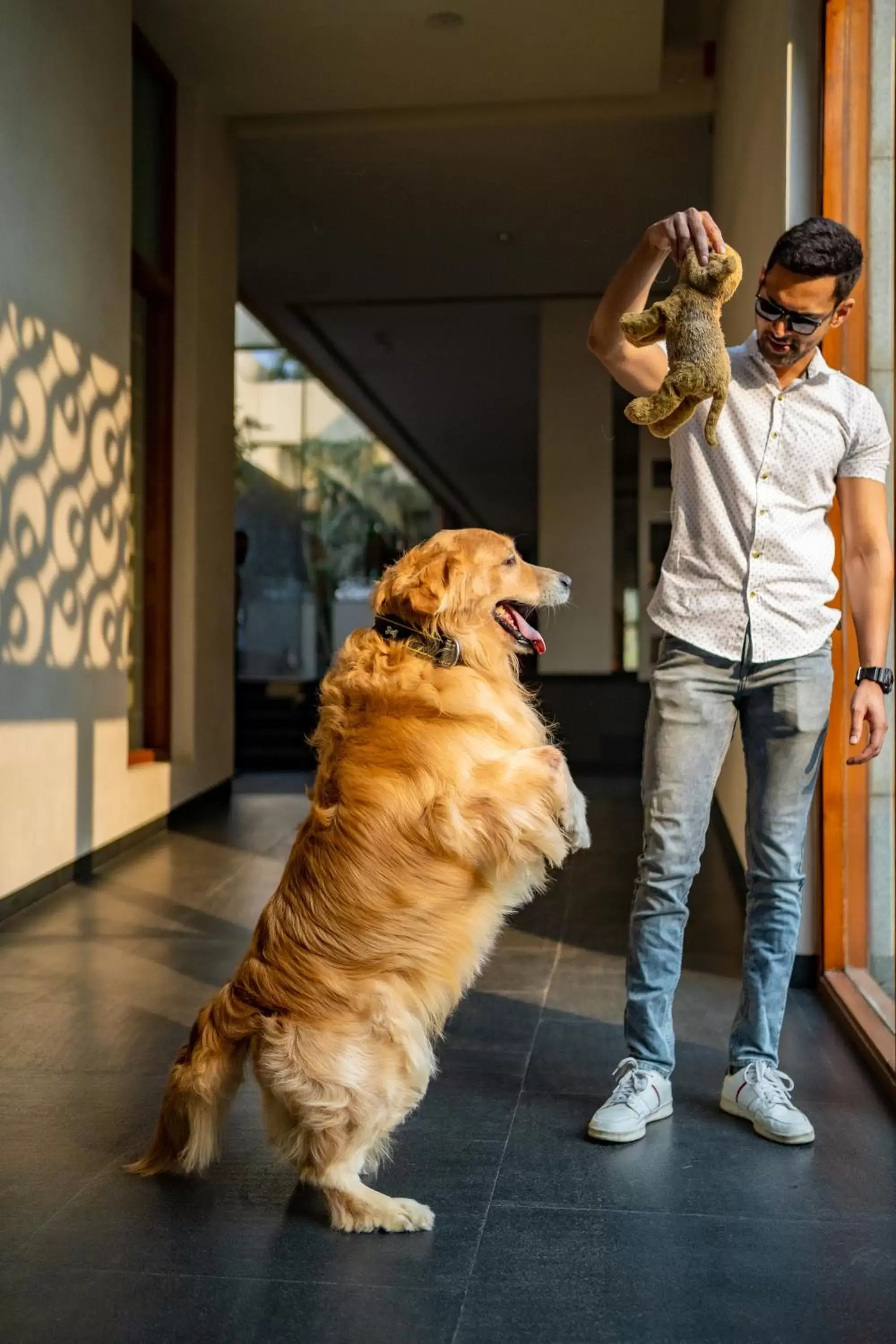 Pets in Hyatt Hyderabad Gachibowli