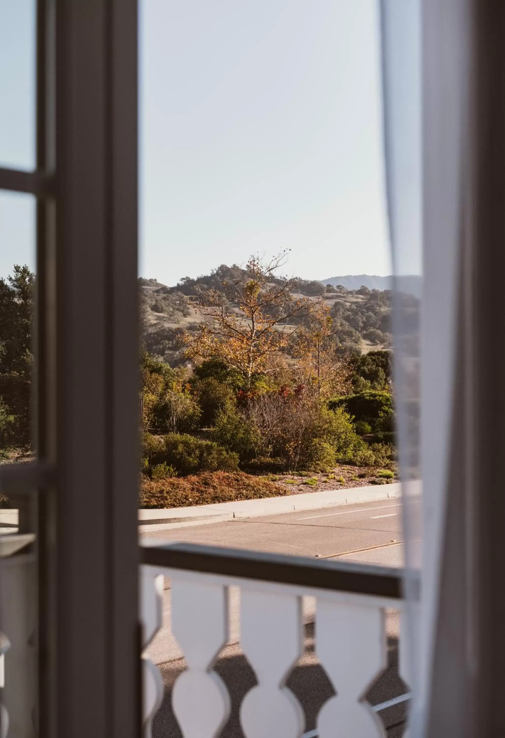 Natural landscape, Mountain View in New Haven Inn