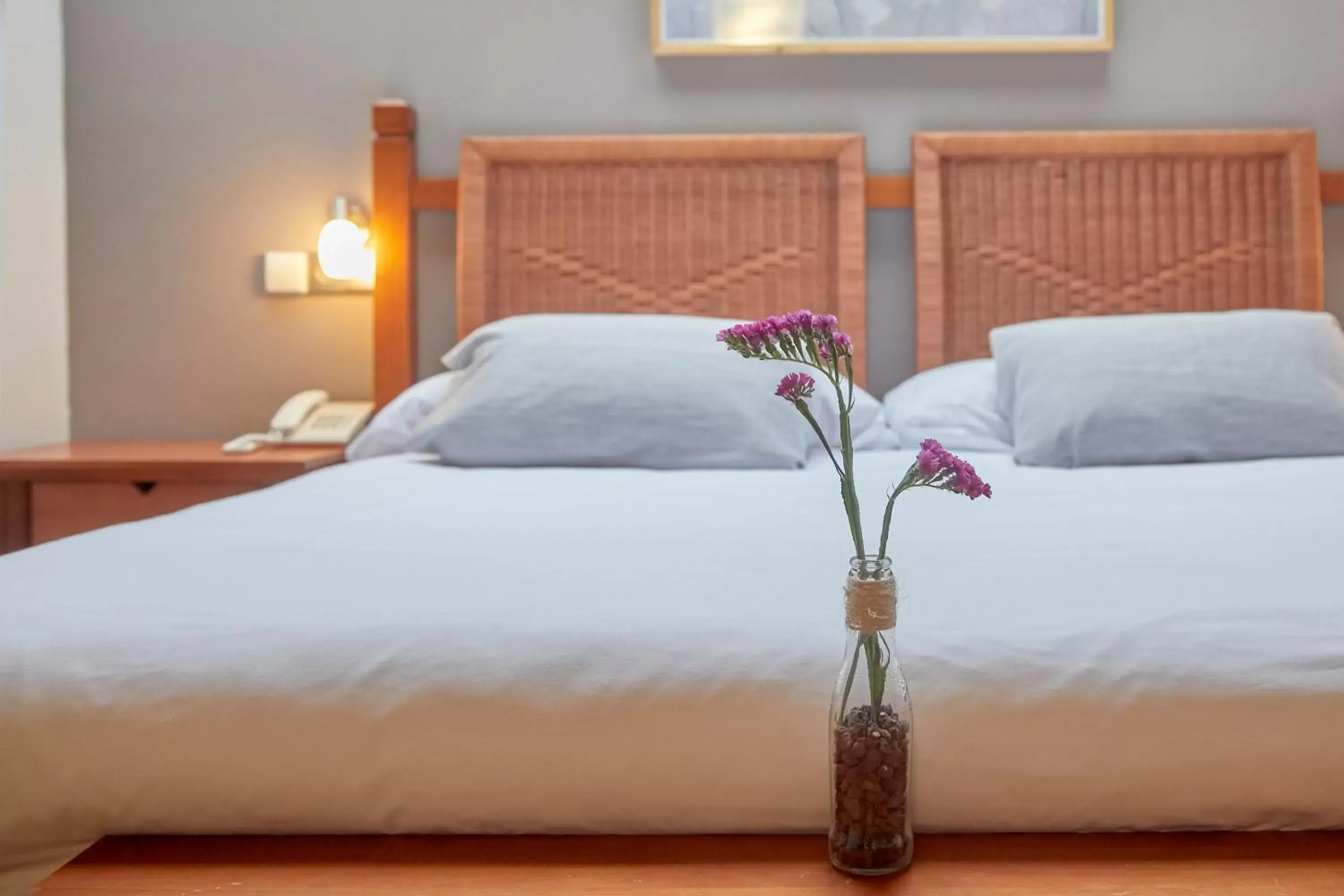 Bed in Hotel Casa Azcona
