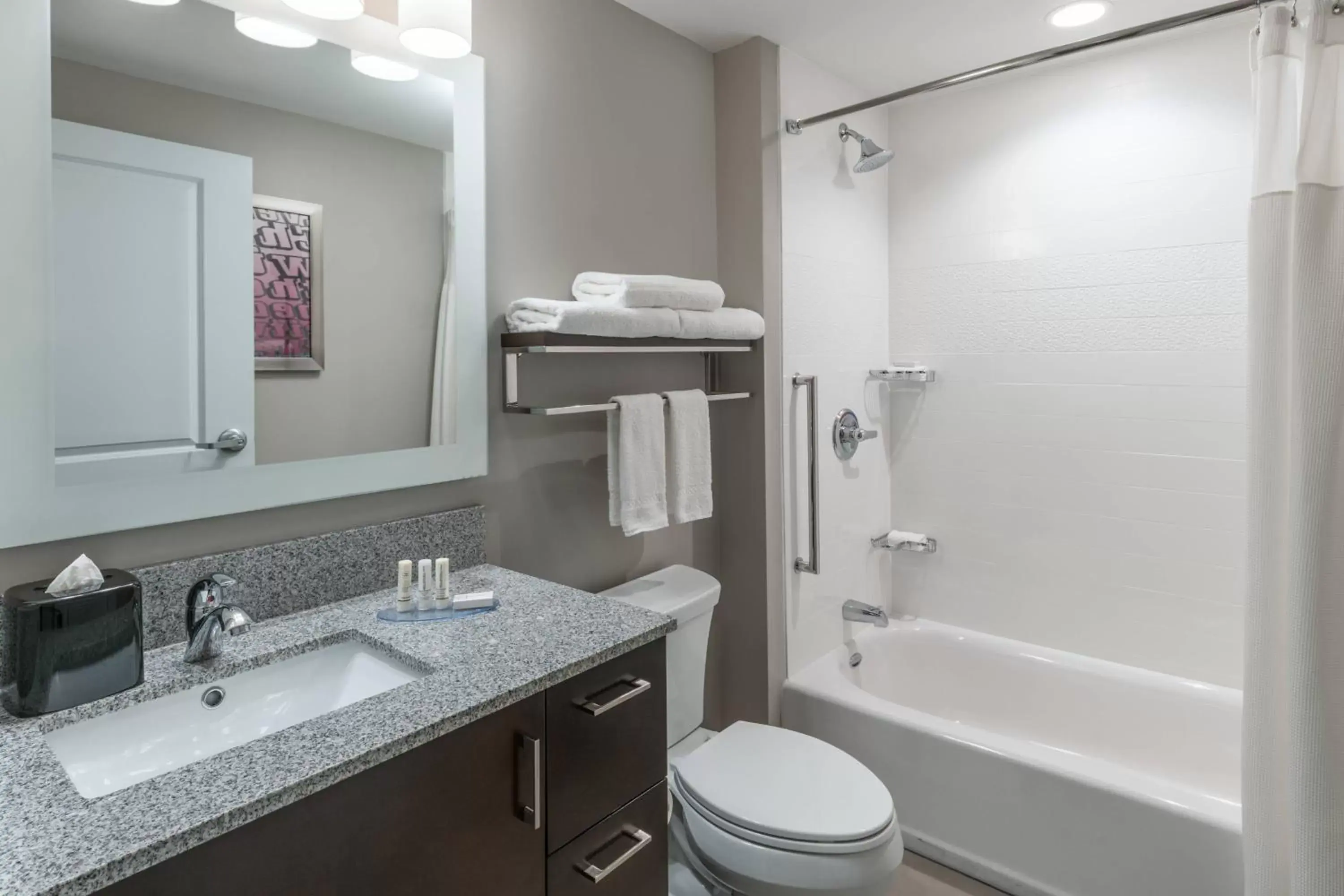 Bathroom in TownePlace Suites by Marriott Chicago Schaumburg