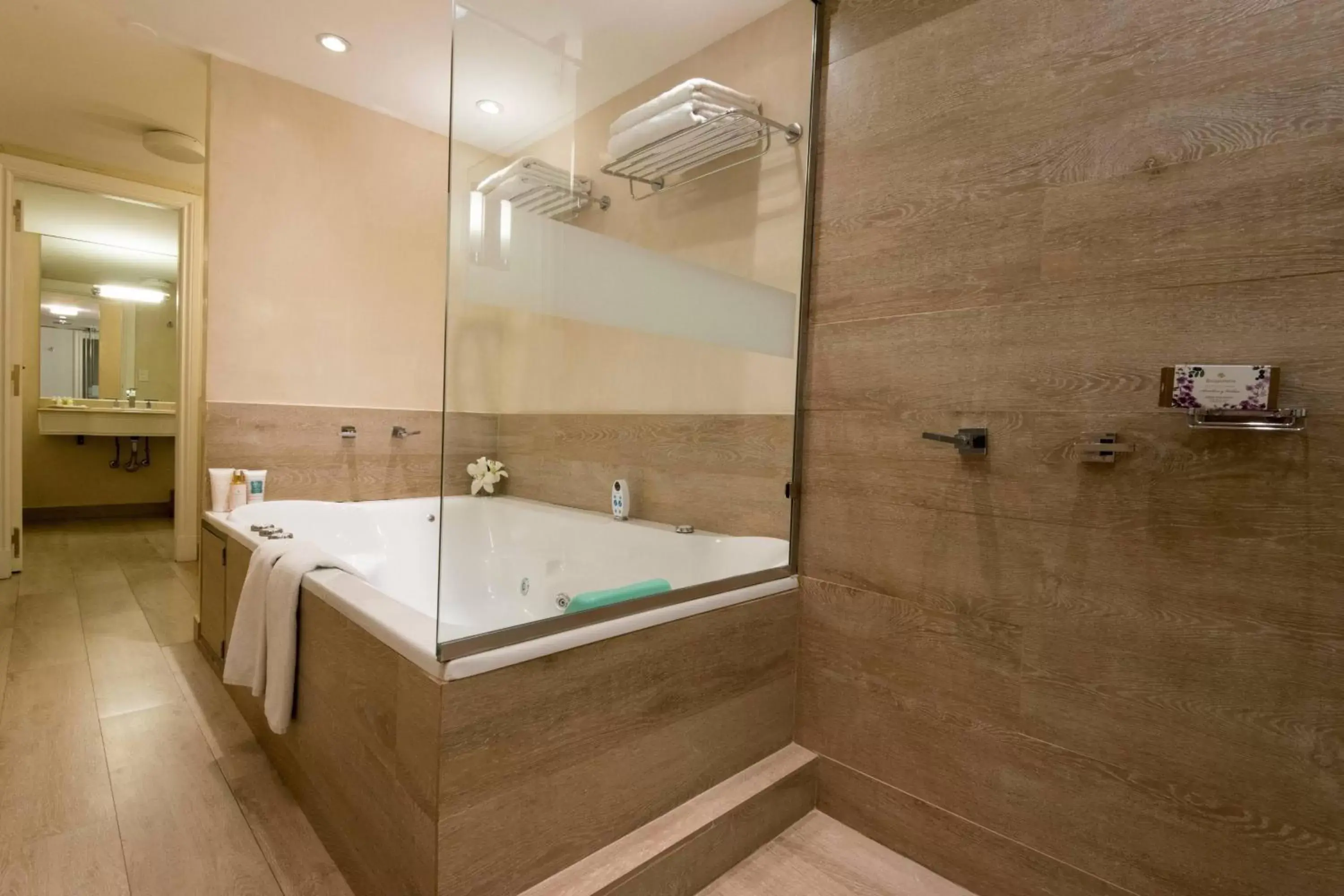 Photo of the whole room, Bathroom in Buenos Aires Marriott
