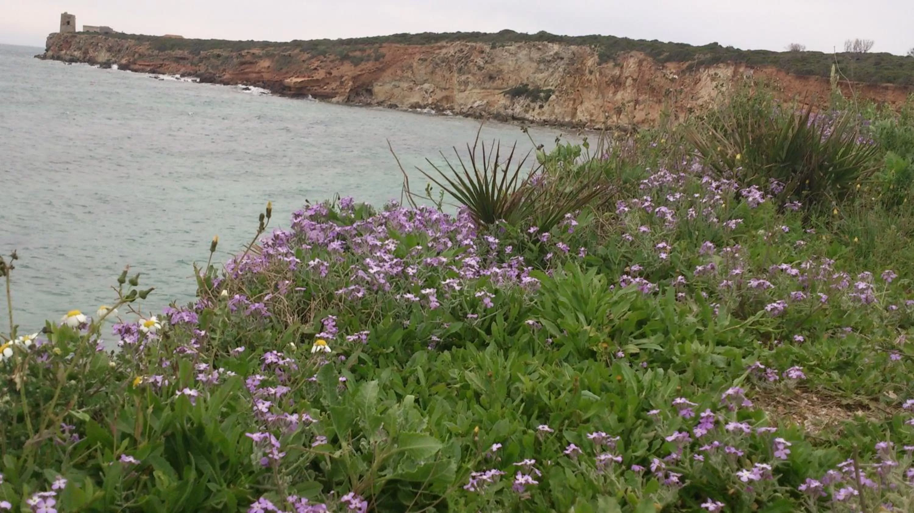 Spring in S'Apprigu B&B