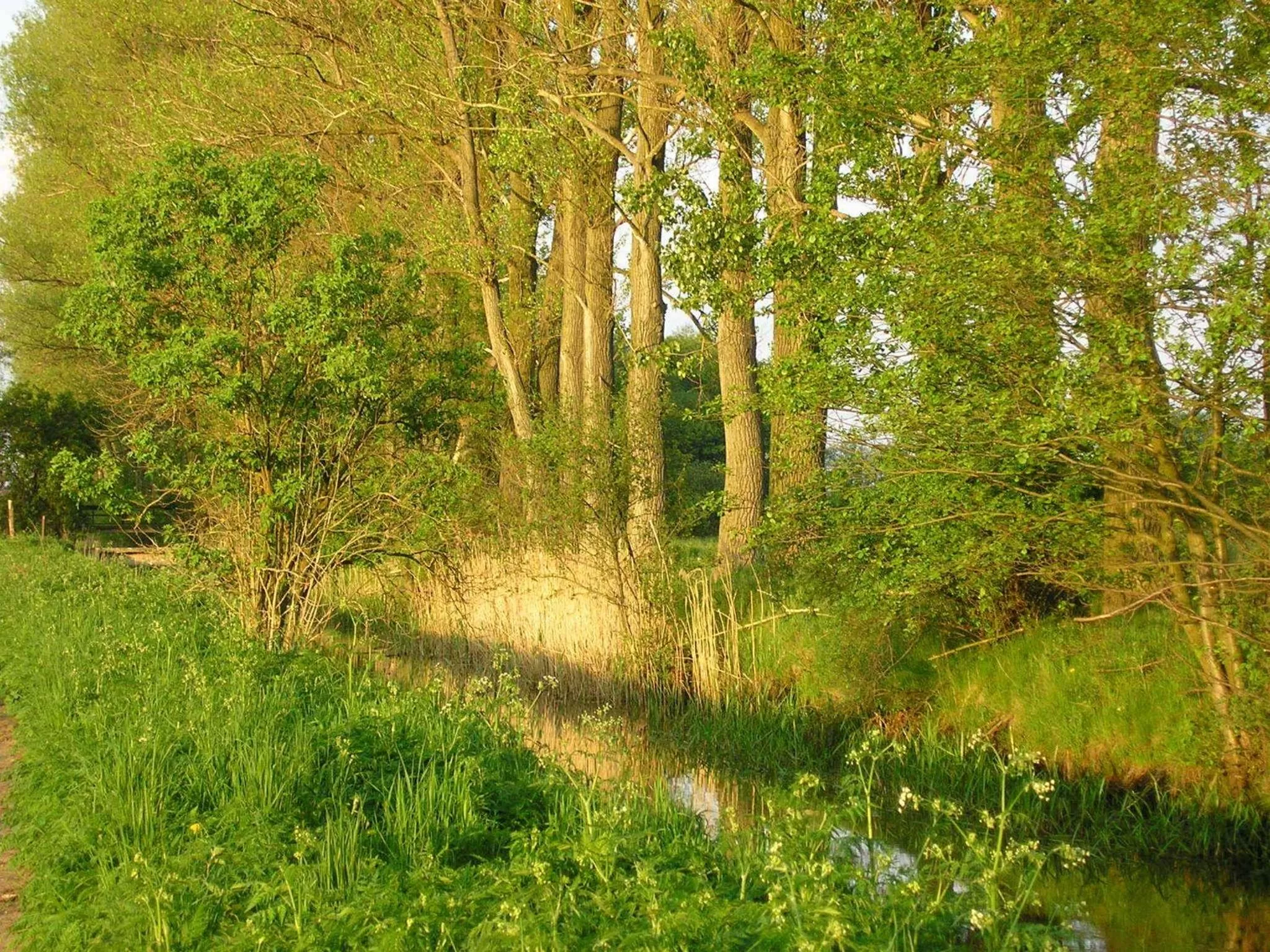 Other in Parkhotel Schönewalde