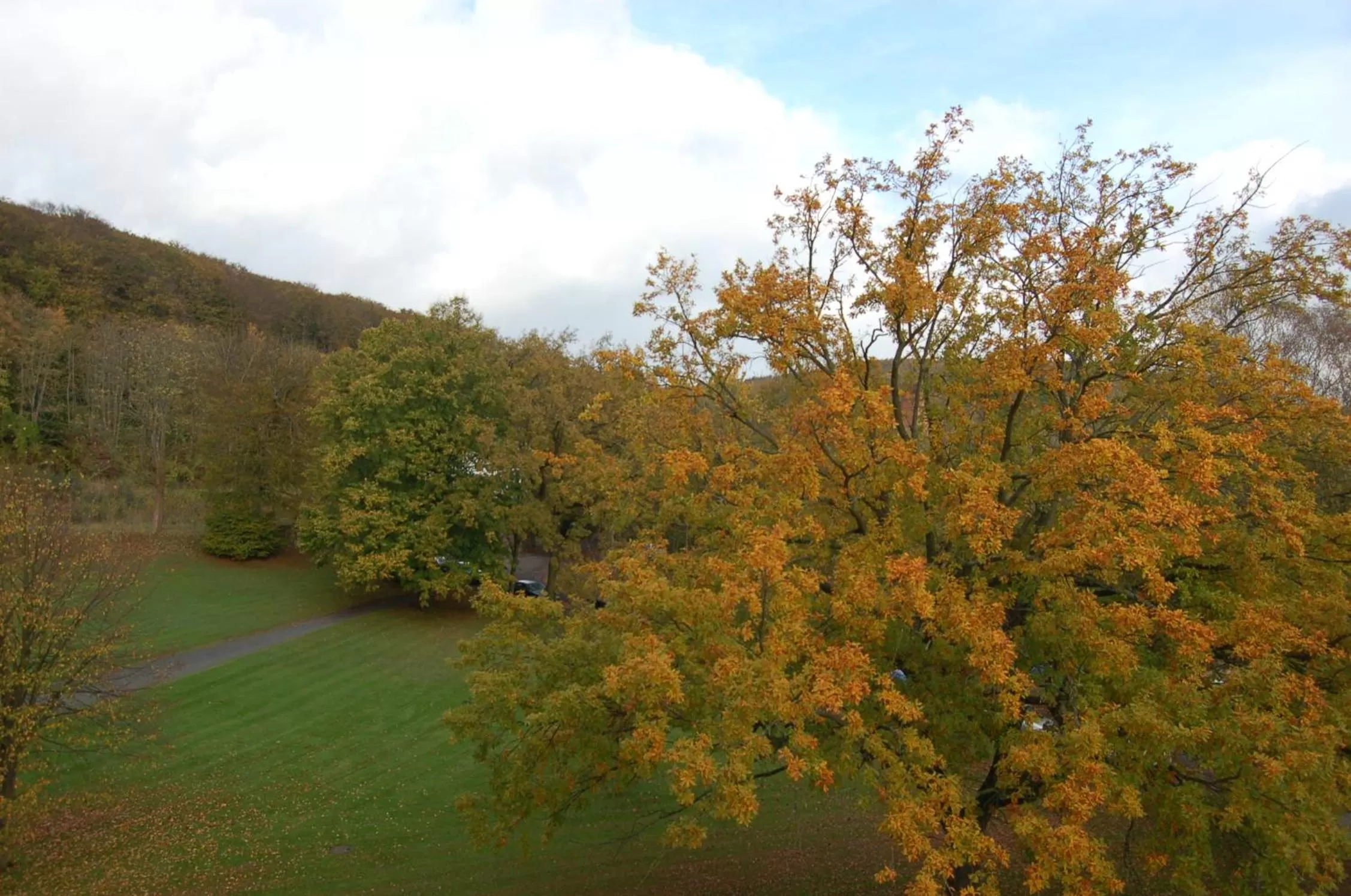 View (from property/room) in Parkhotel del Mar