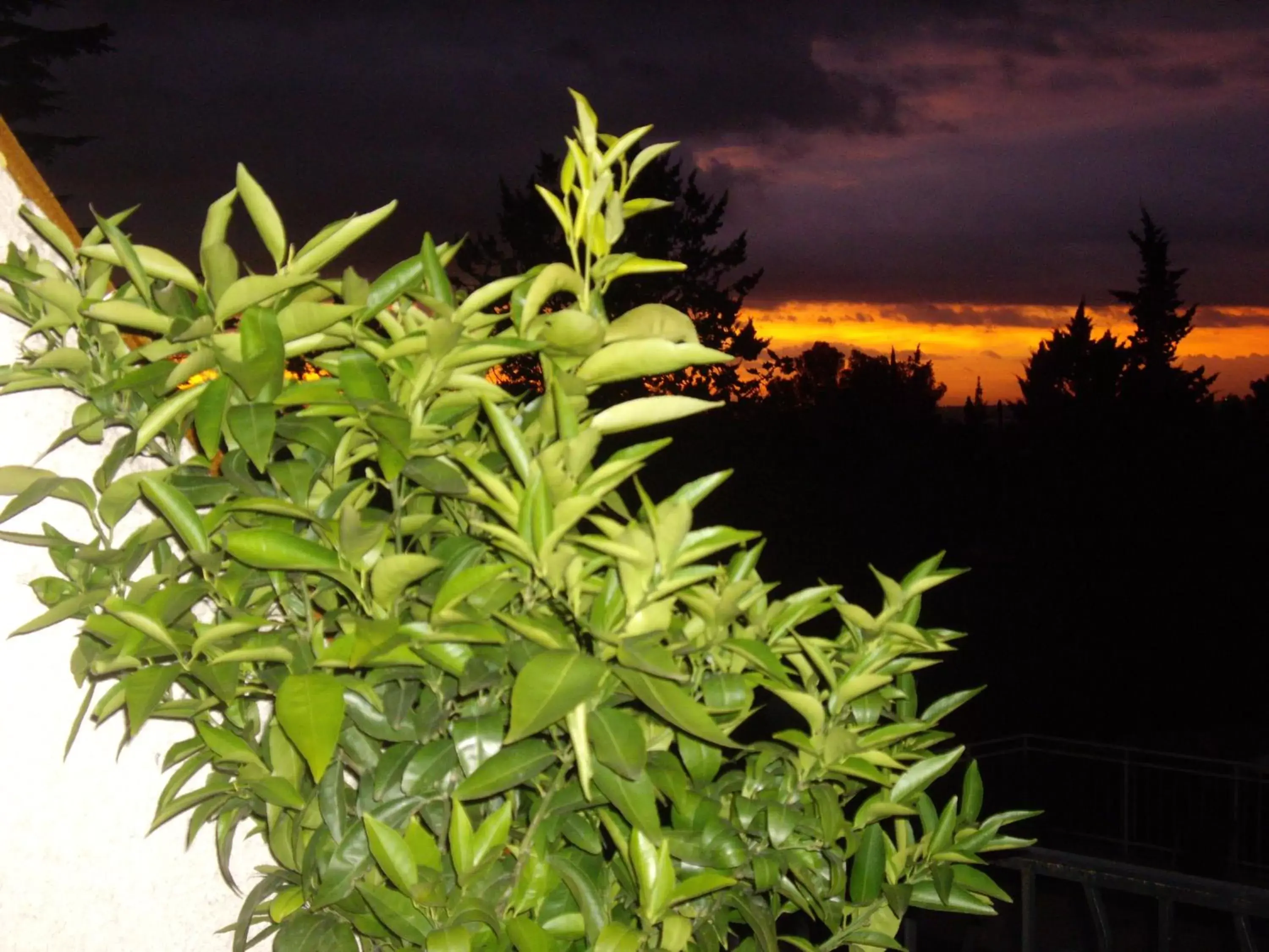 View (from property/room) in Le Mas Des Cigales