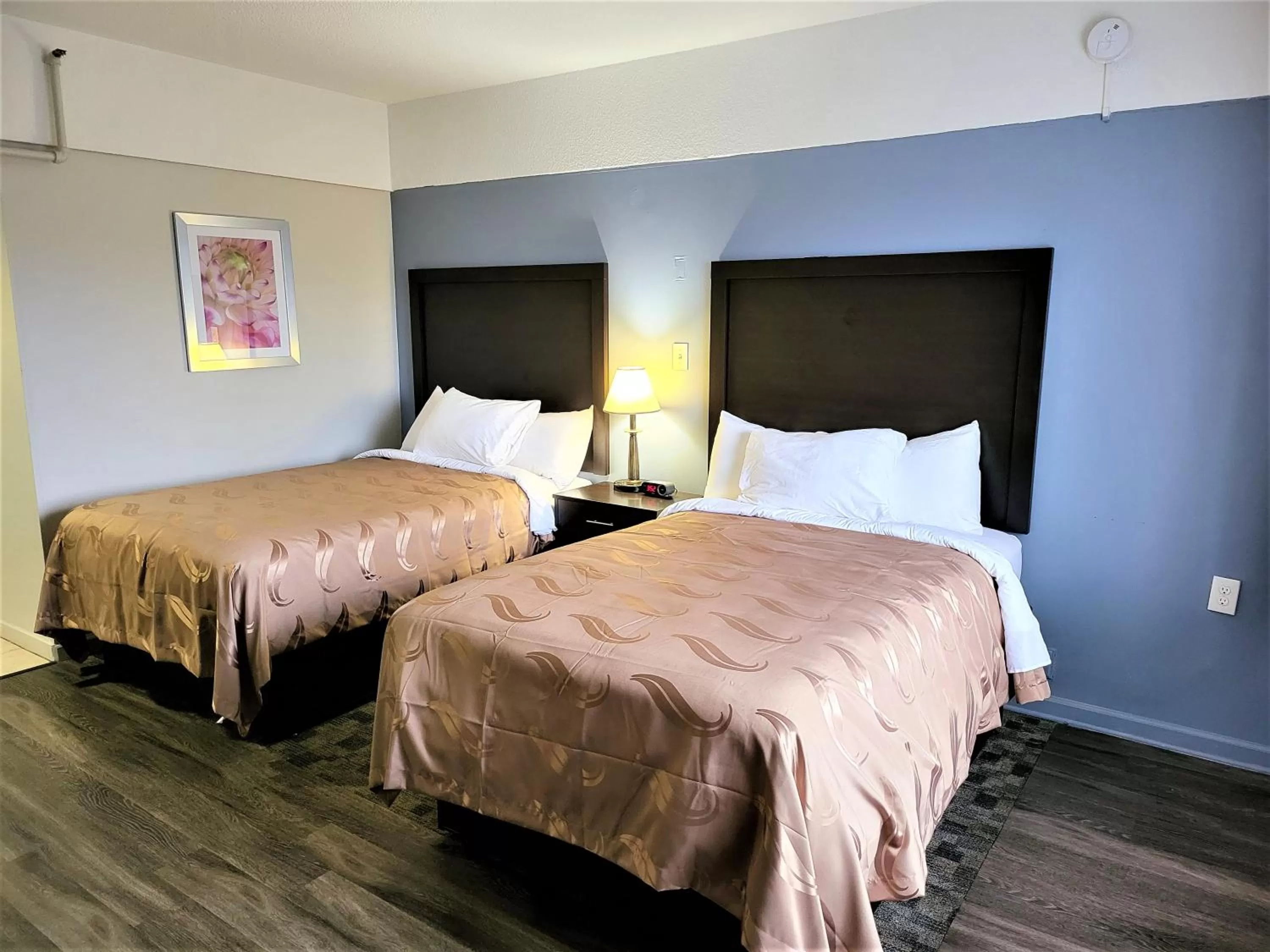 Bedroom, Bed in Rodeway Inn Norfolk