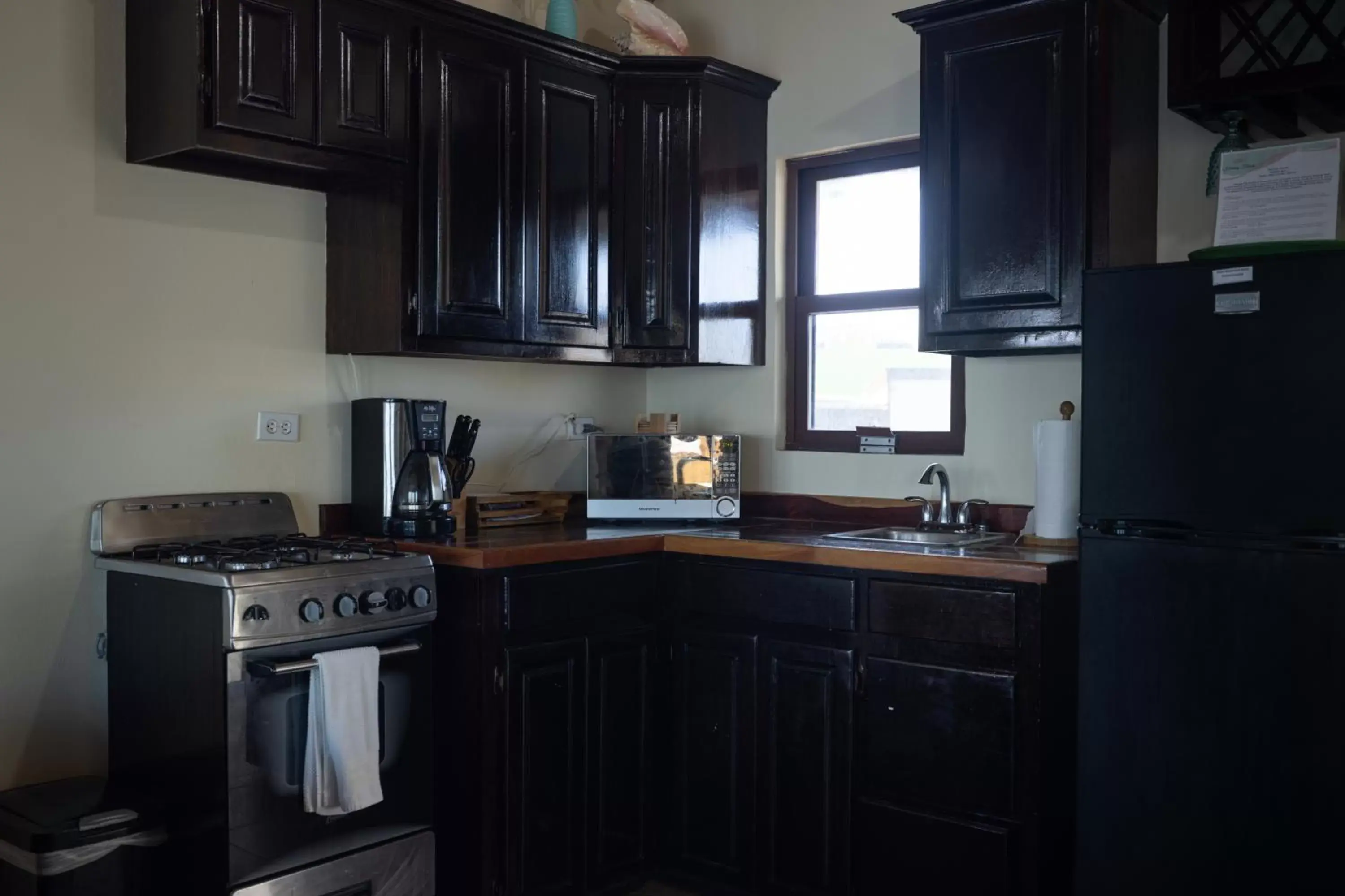 Kitchen or kitchenette, Kitchen/Kitchenette in Lina Point Belize Overwater Resort