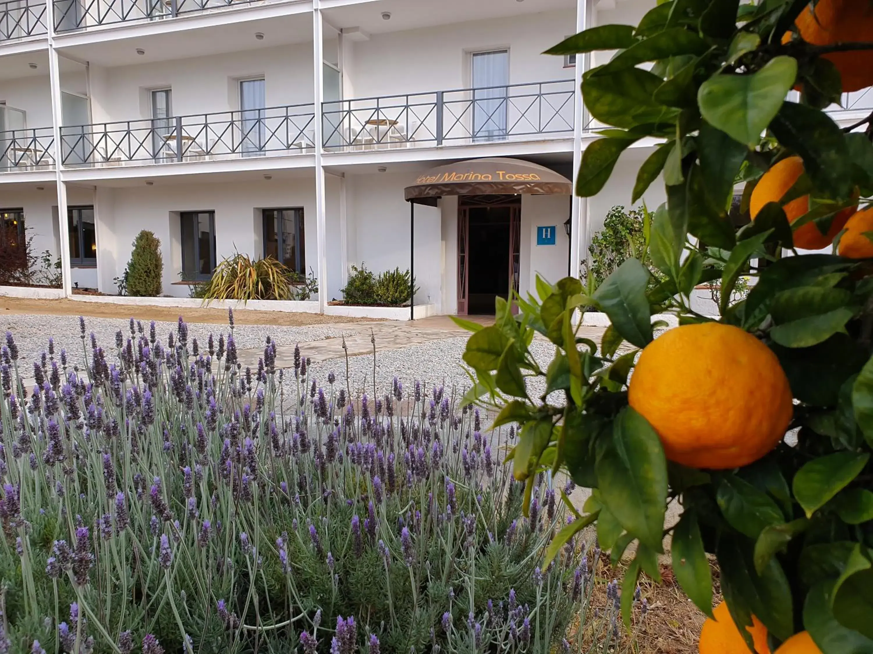 Patio, Property Building in Marina Tossa