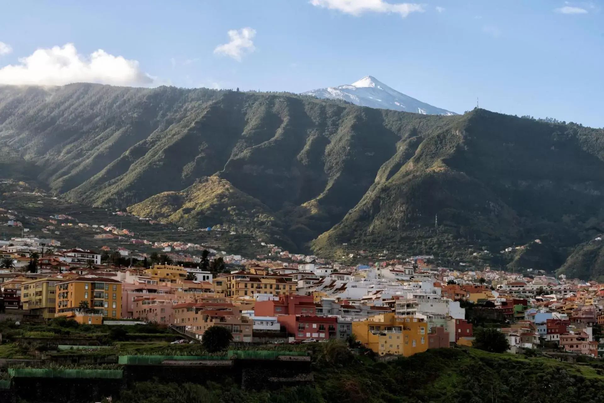 Natural landscape in Precise Resort Tenerife