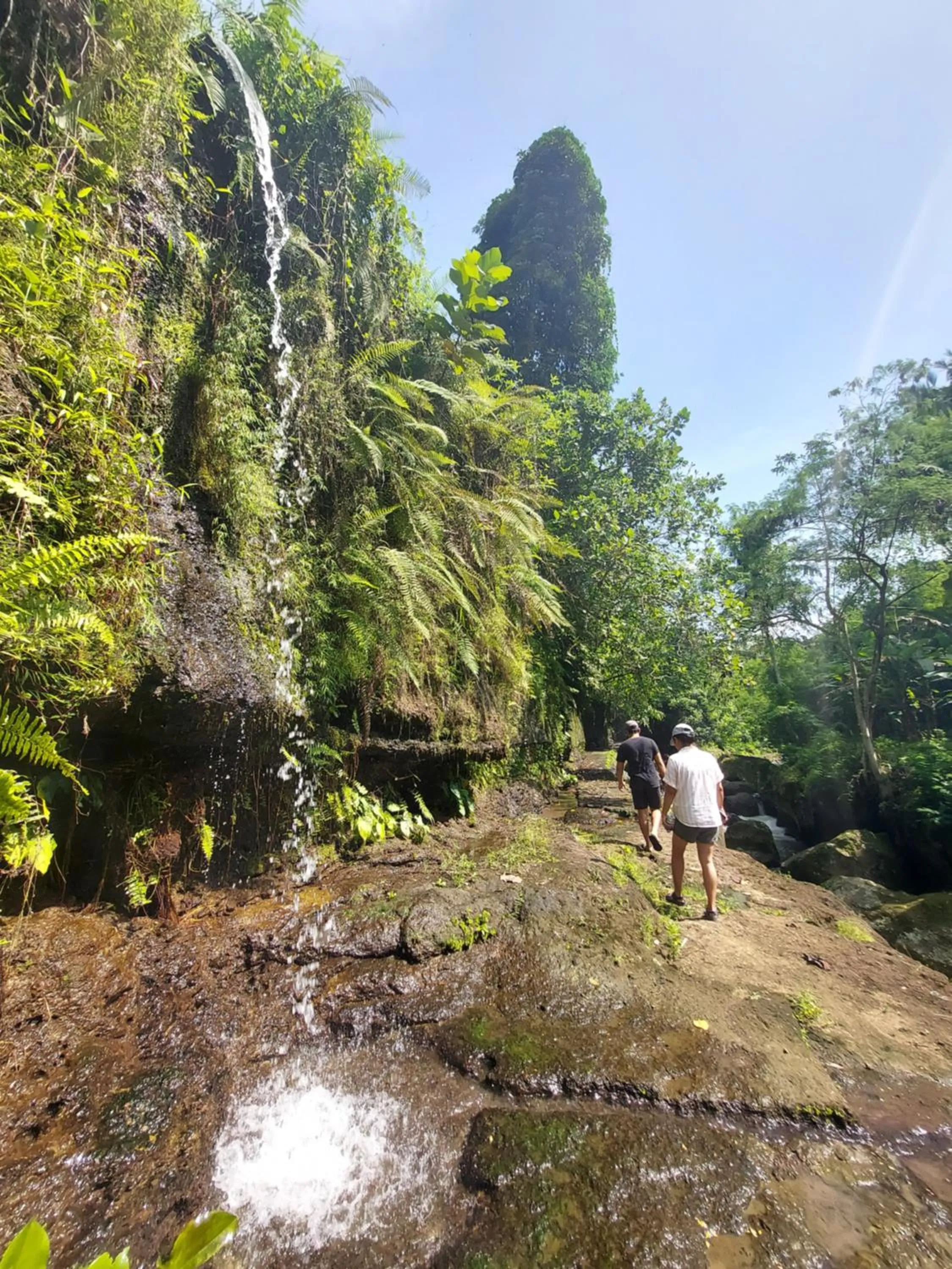 Natural landscape in Ubad Retreat