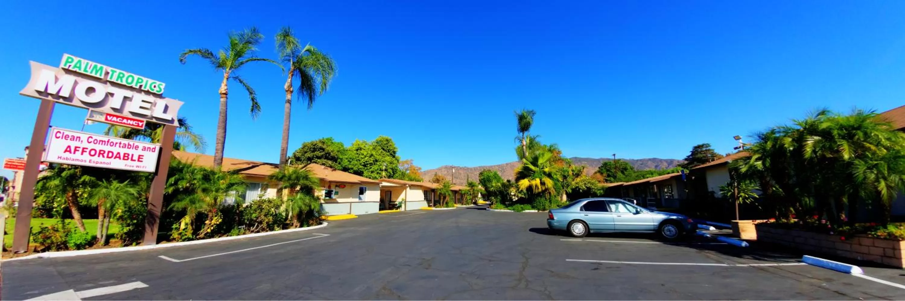 Property logo or sign in Palm Tropics Motel