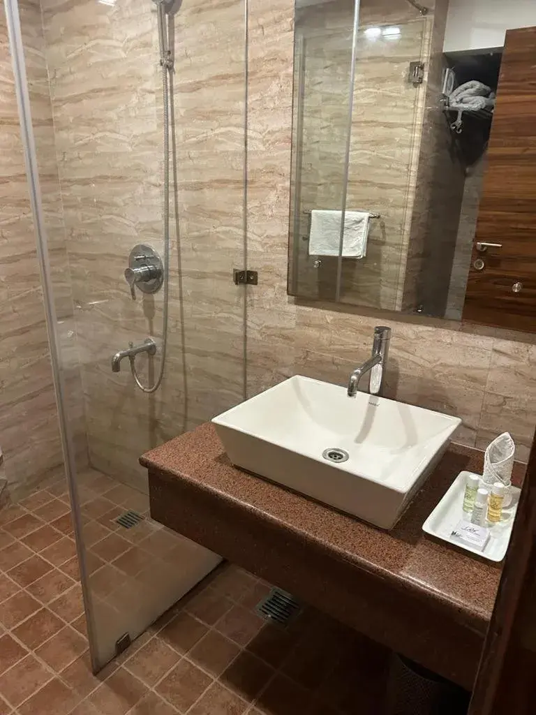 Bathroom in Hotel Ramhan Palace