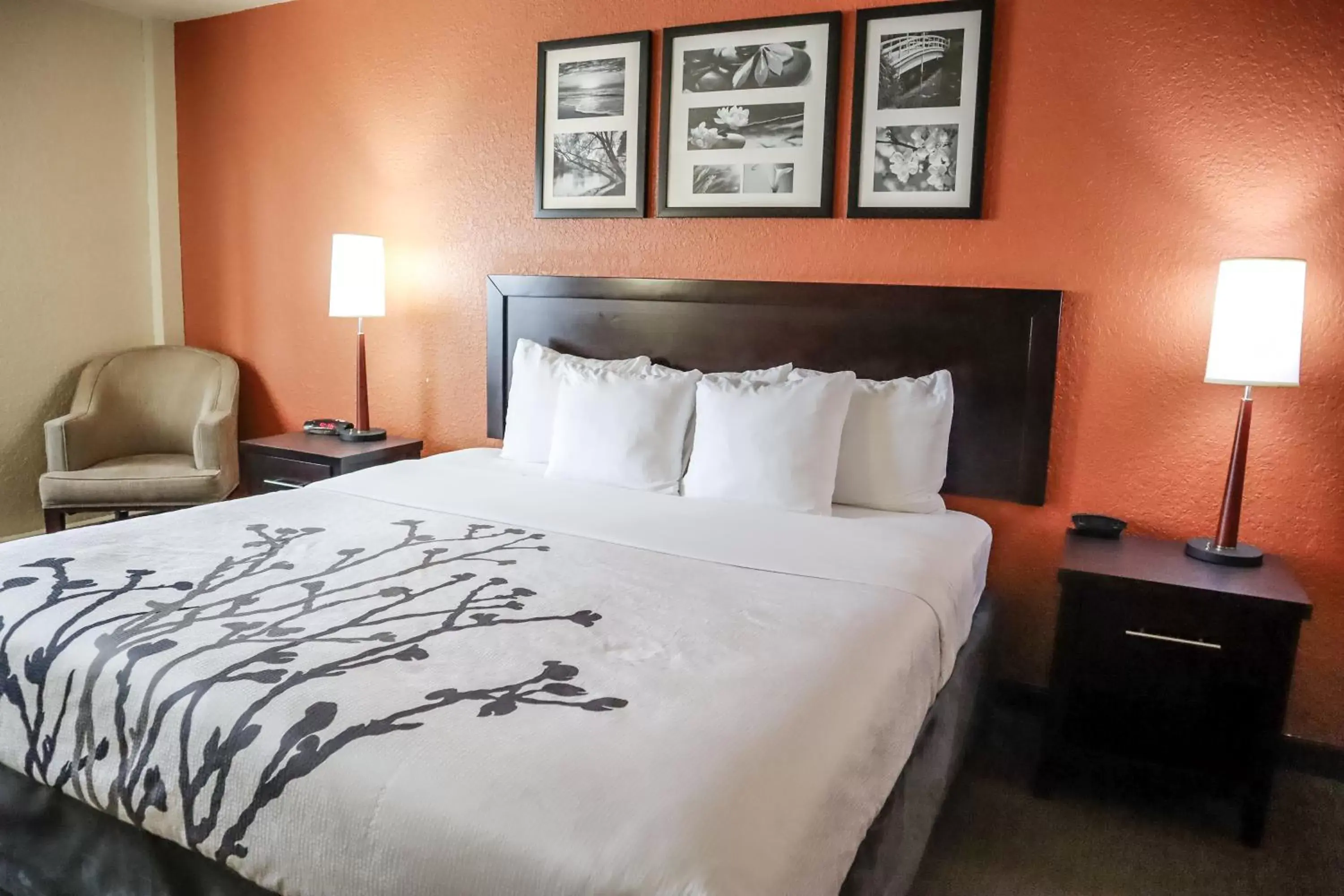 Bed in Sleep Inn & Suites Ocala - Belleview