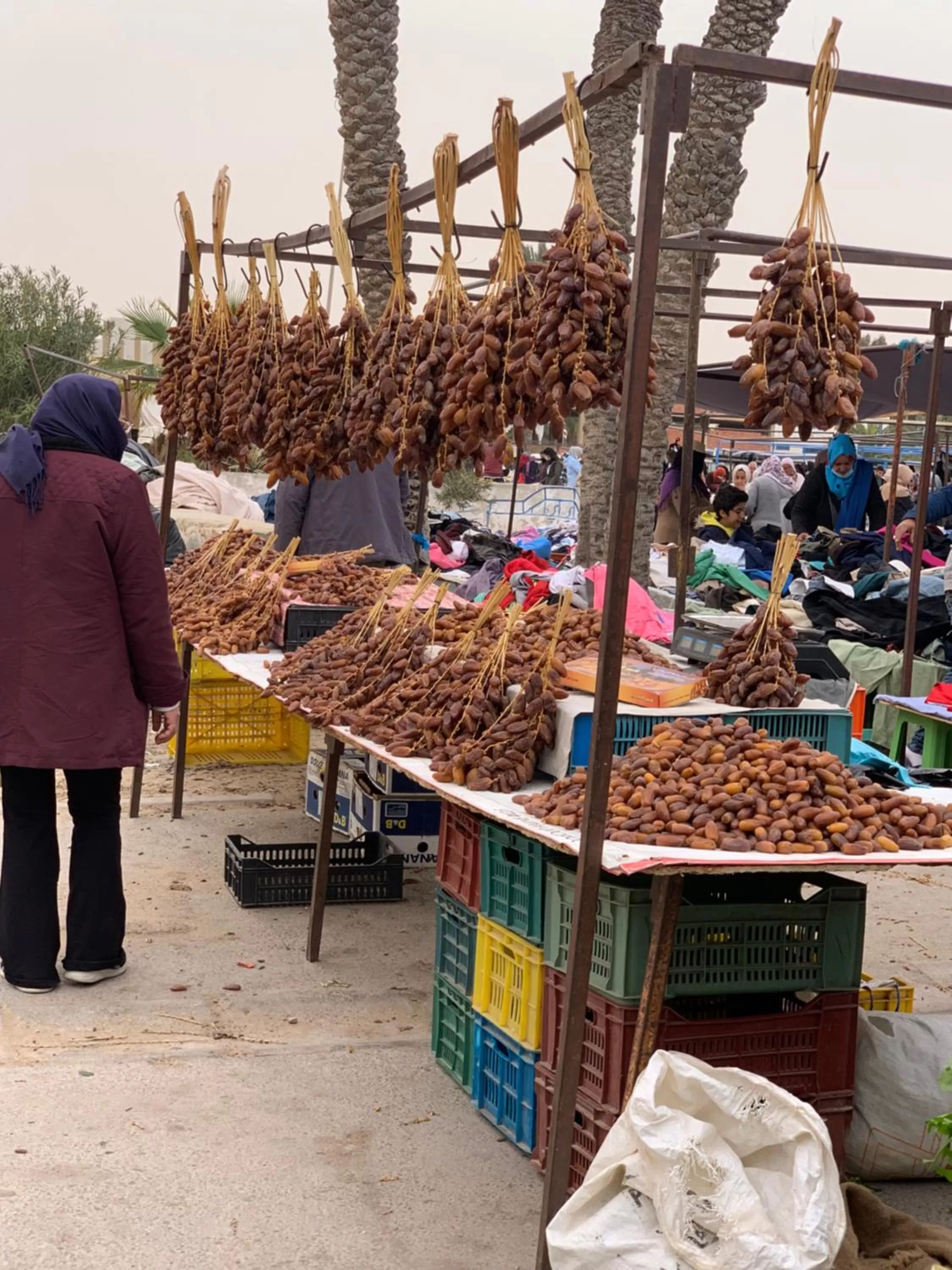 Off site in Dar Lola