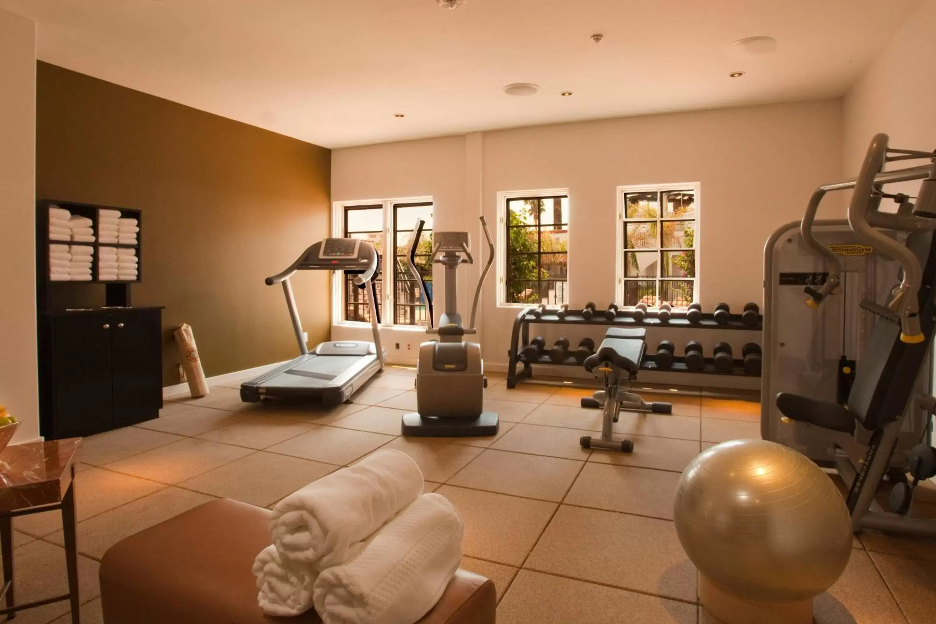 Fitness centre/facilities, Fitness Center/Facilities in Triada Palm Springs, Autograph Collection