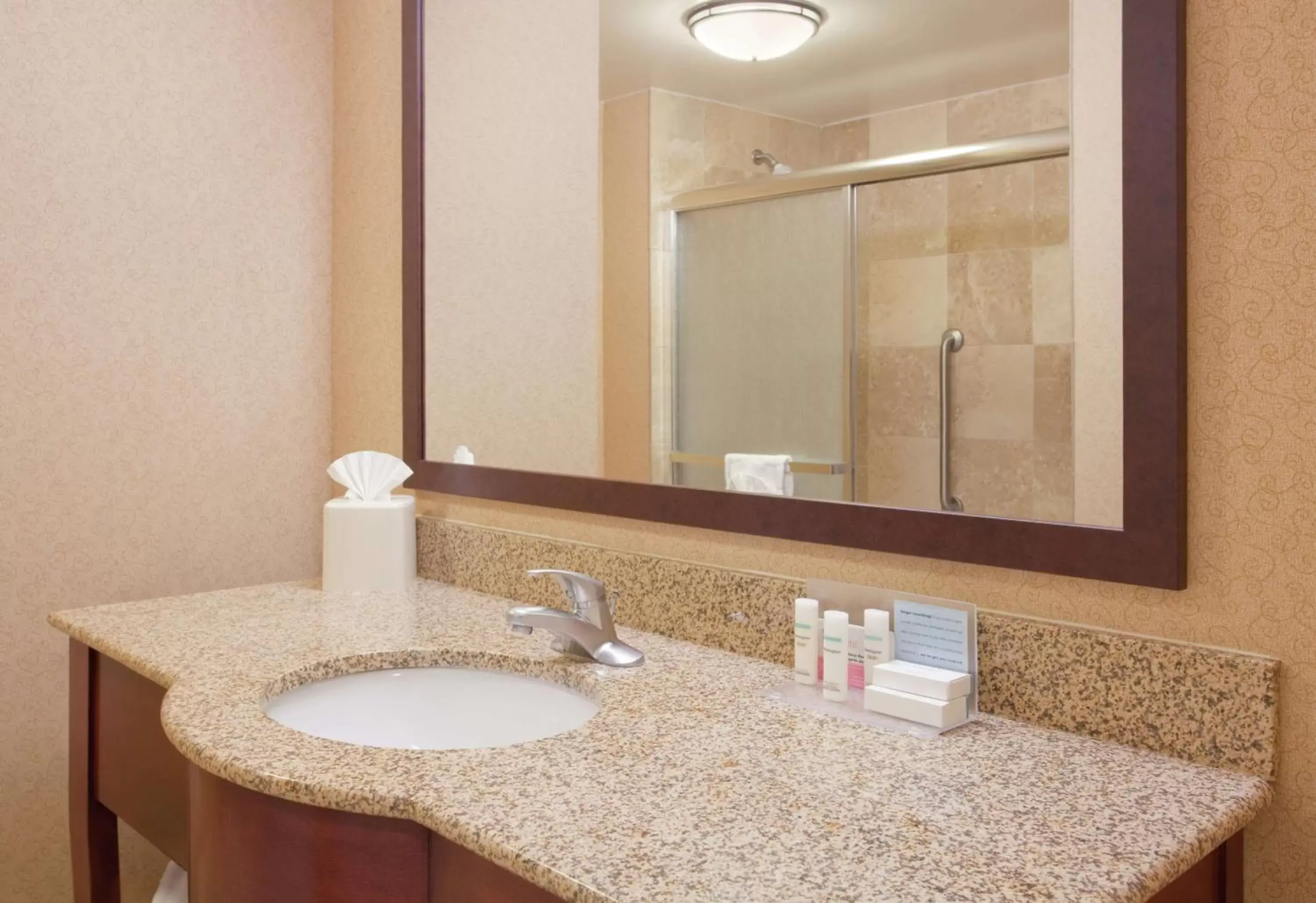 Bathroom in Hampton Inn & Suites Omaha Southwest-La Vista