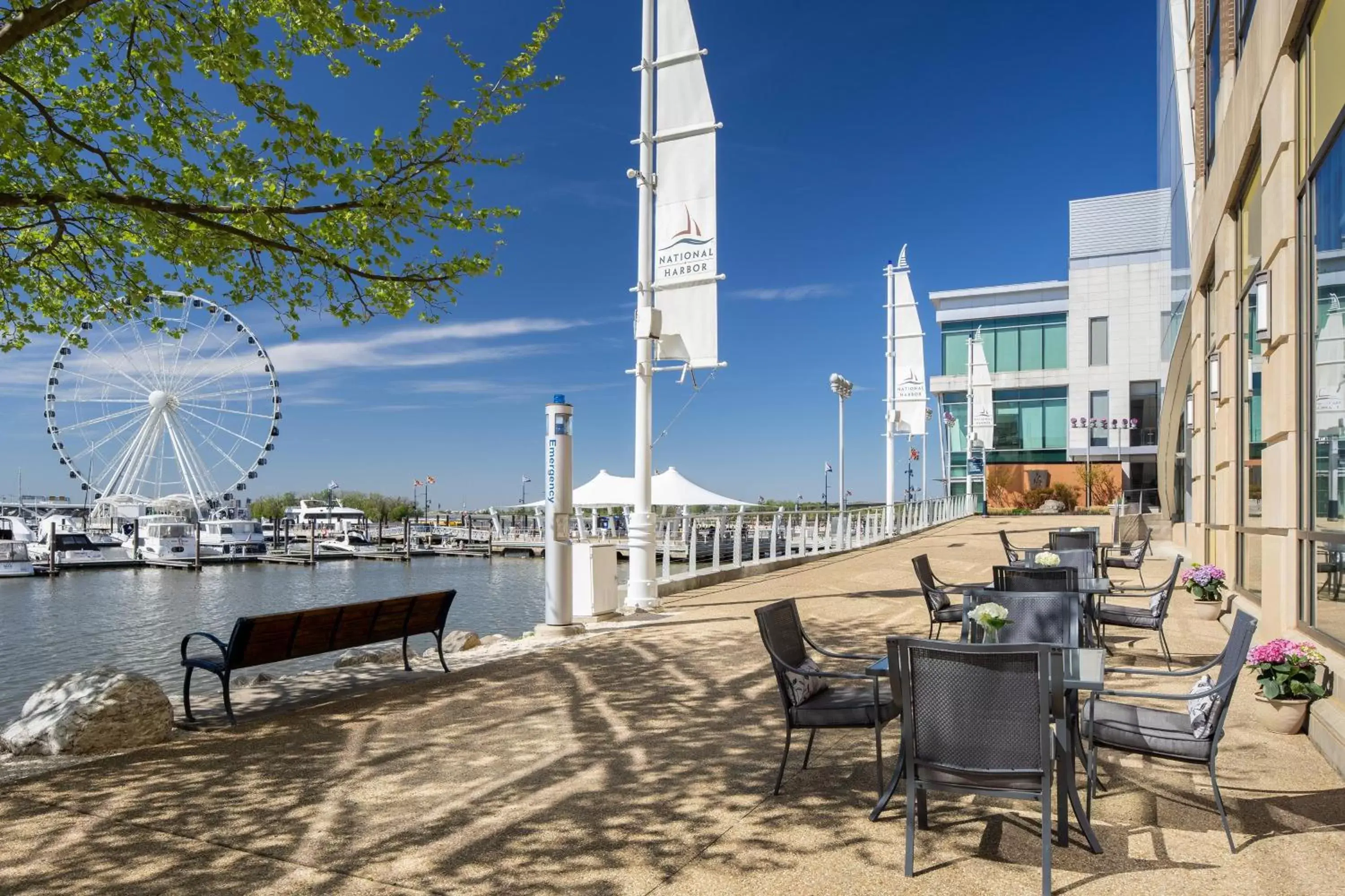 Restaurant/places to eat in The Westin Washington National Harbor