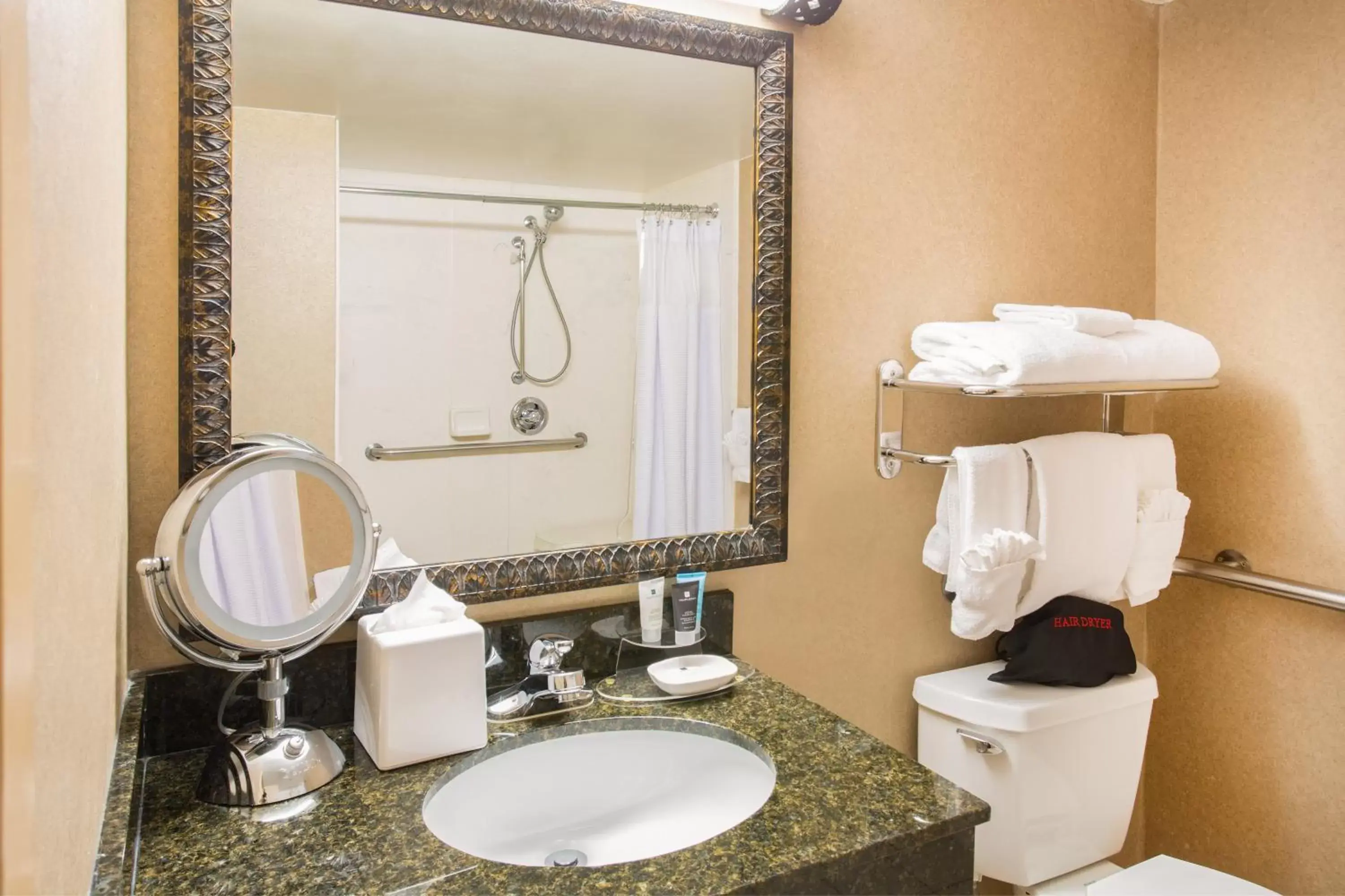 Bathroom in Crowne Plaza Denver International Airport, an IHG Hotel