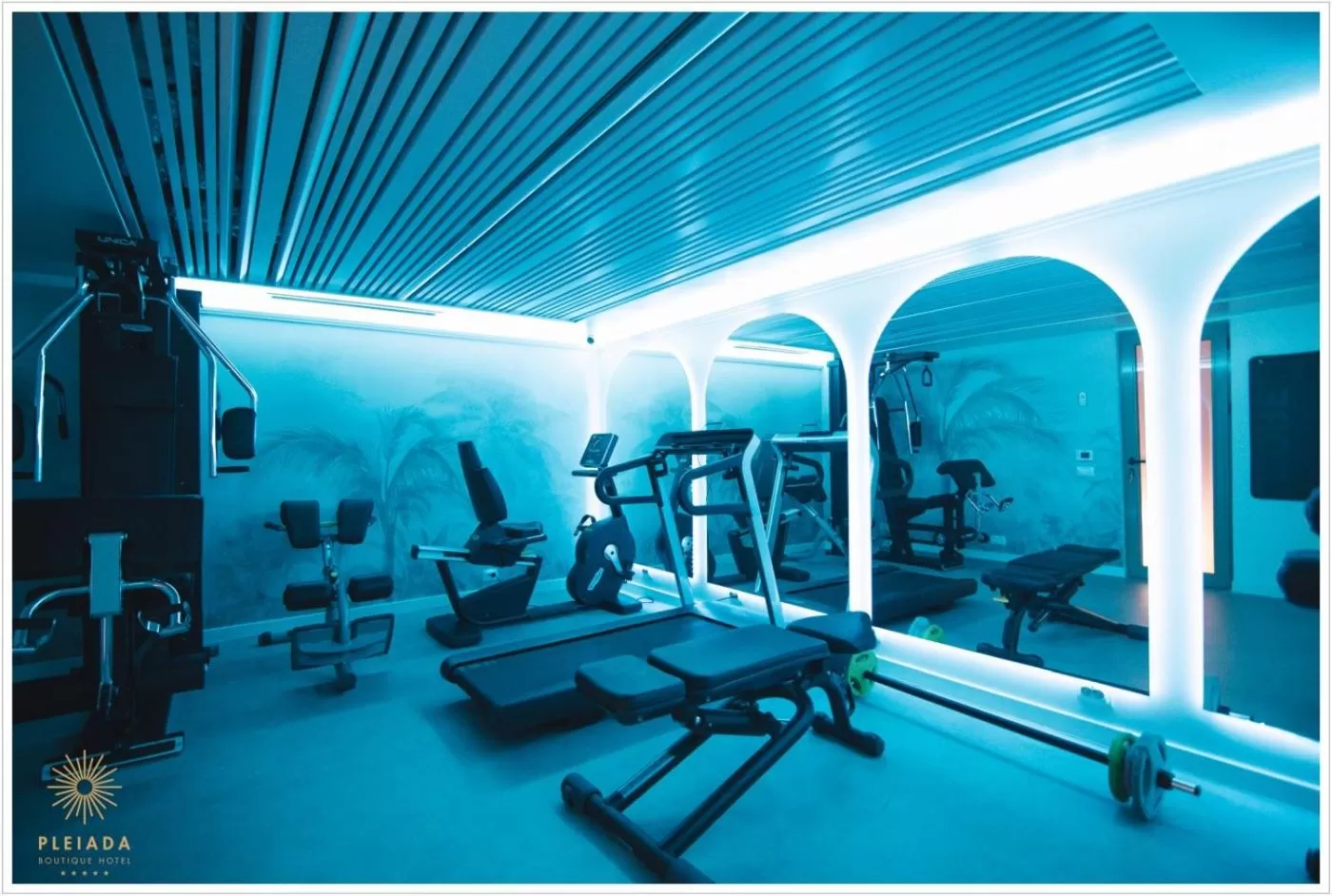 Fitness centre/facilities in Pleiada Boutique Hotel & Spa