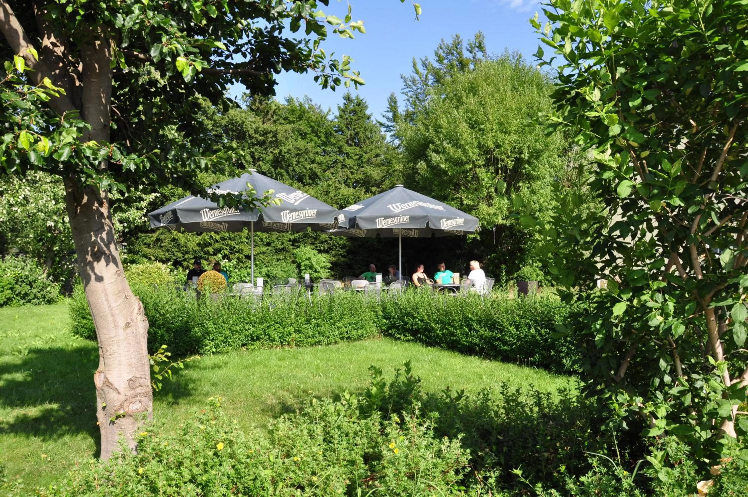 Balcony/Terrace in Rennsteighotel Herrnberger Hof