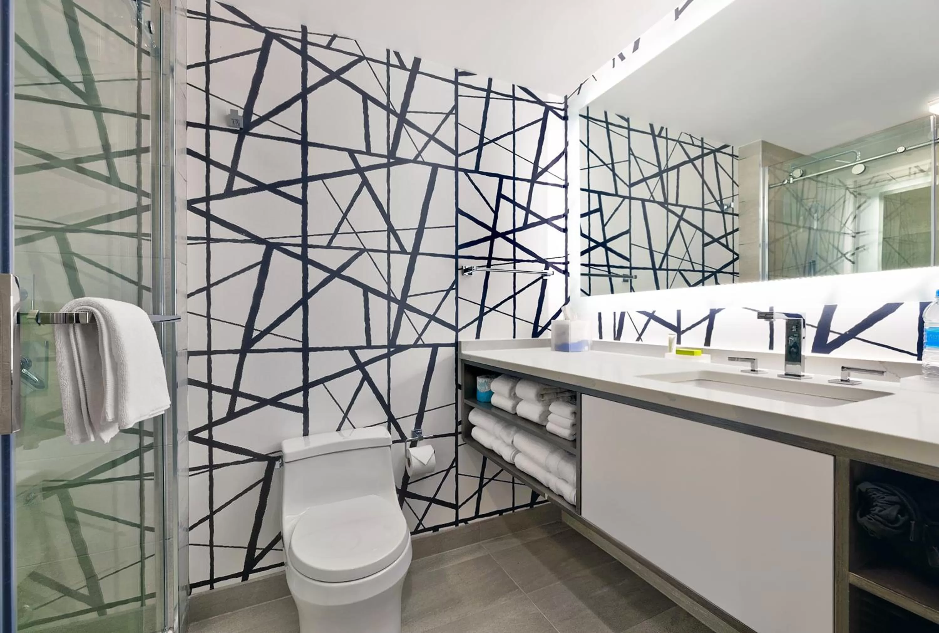 Toilet in Le Méridien St. Louis Downtown