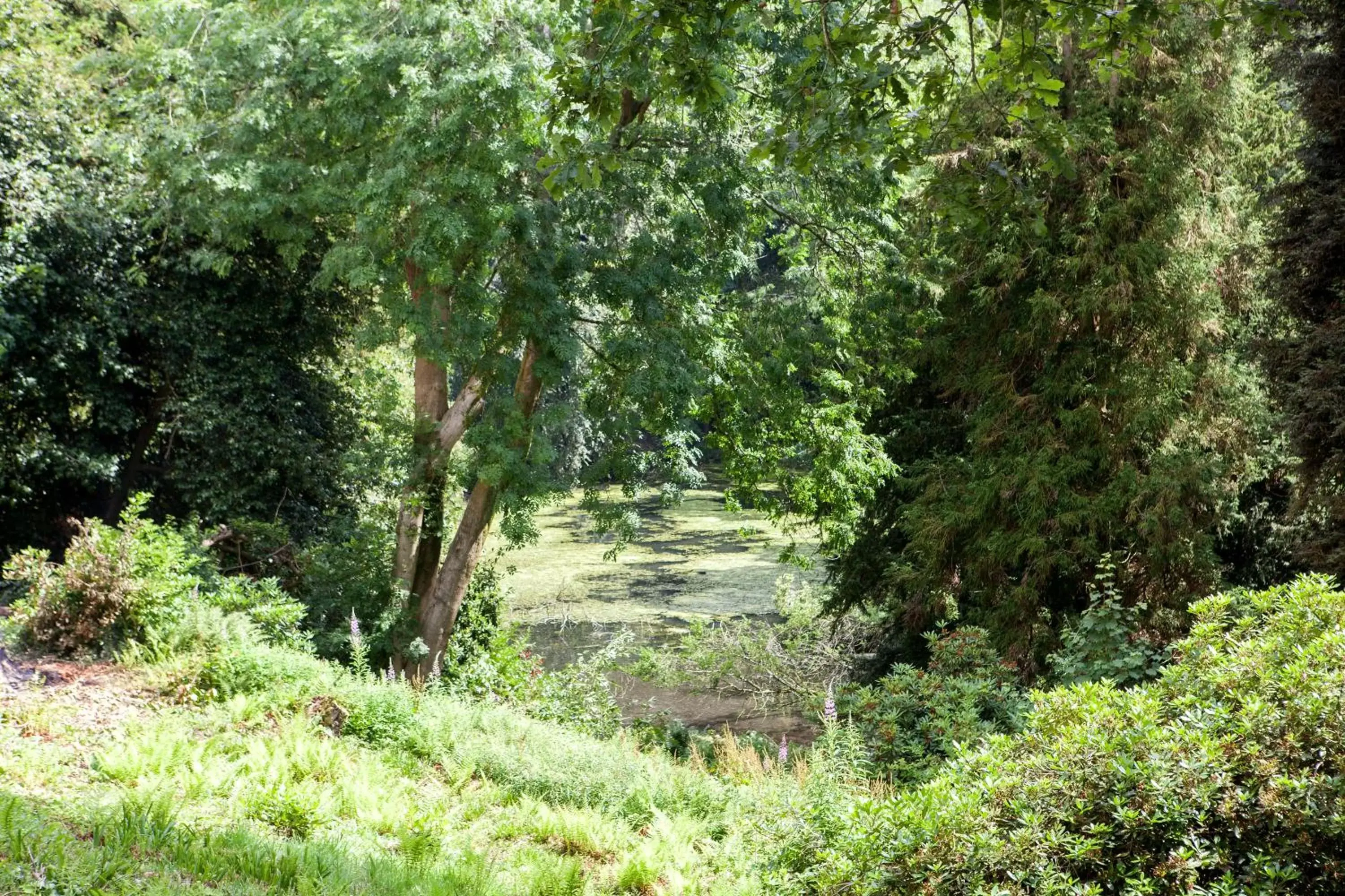 View (from property/room), Natural Landscape in Langrish House