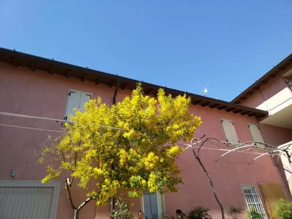 Property Building in Borgo al Sole by Garda Facilities