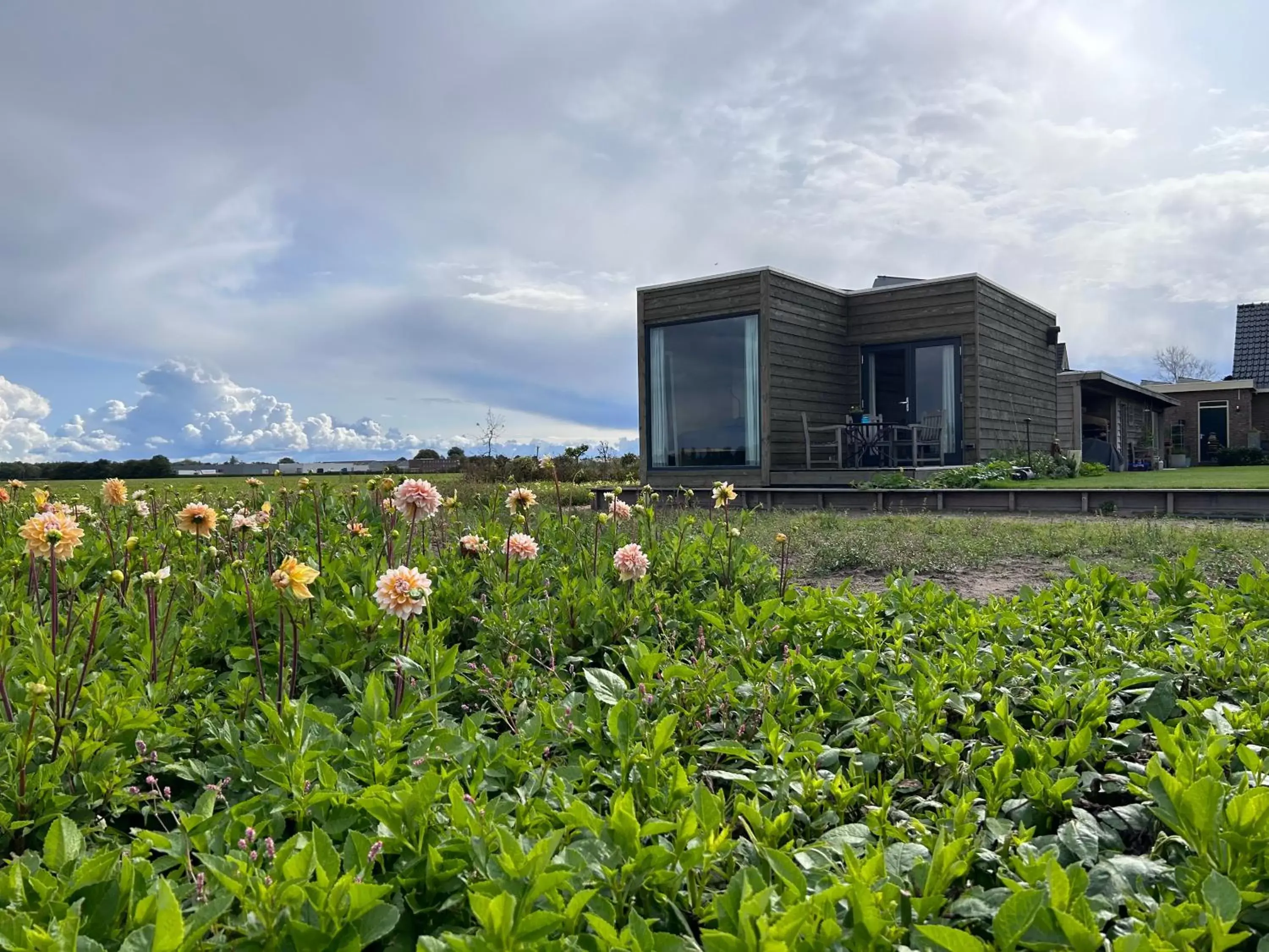 Property building in Blossombed