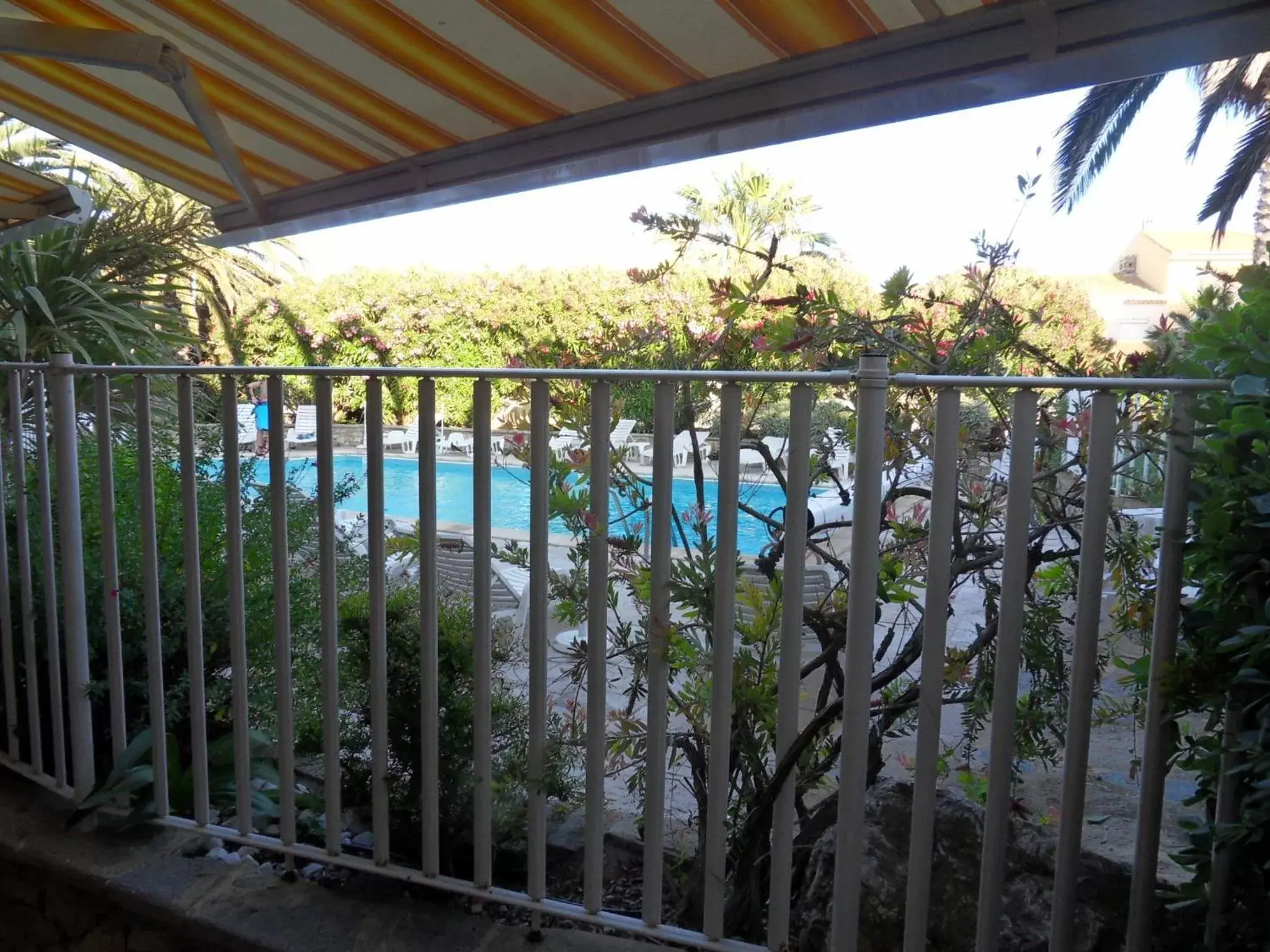 Patio, Pool View in Hotel Albizzia
