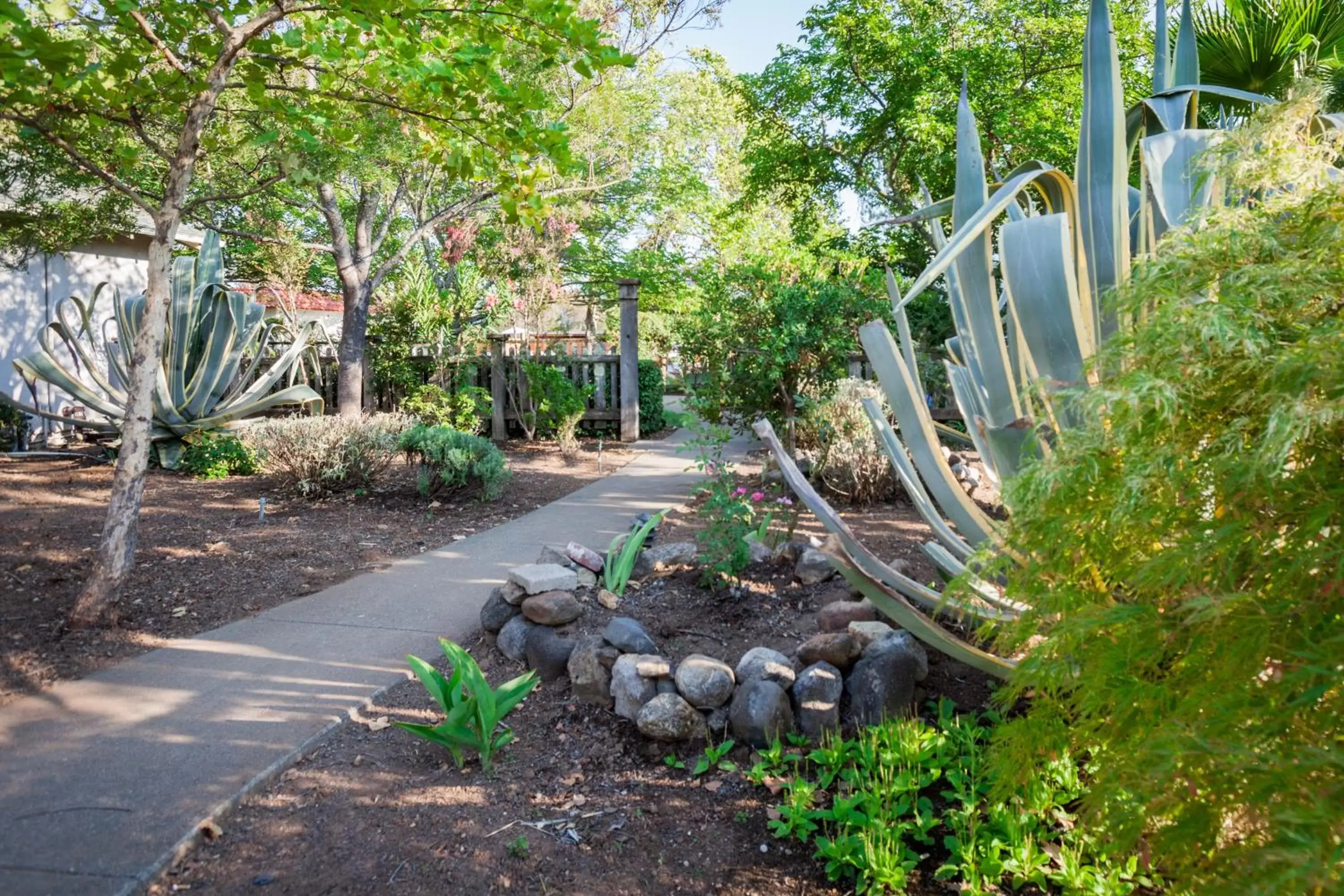 Natural landscape, Garden in Calistoga Motor Lodge & Spa, part of JdV by Hyatt