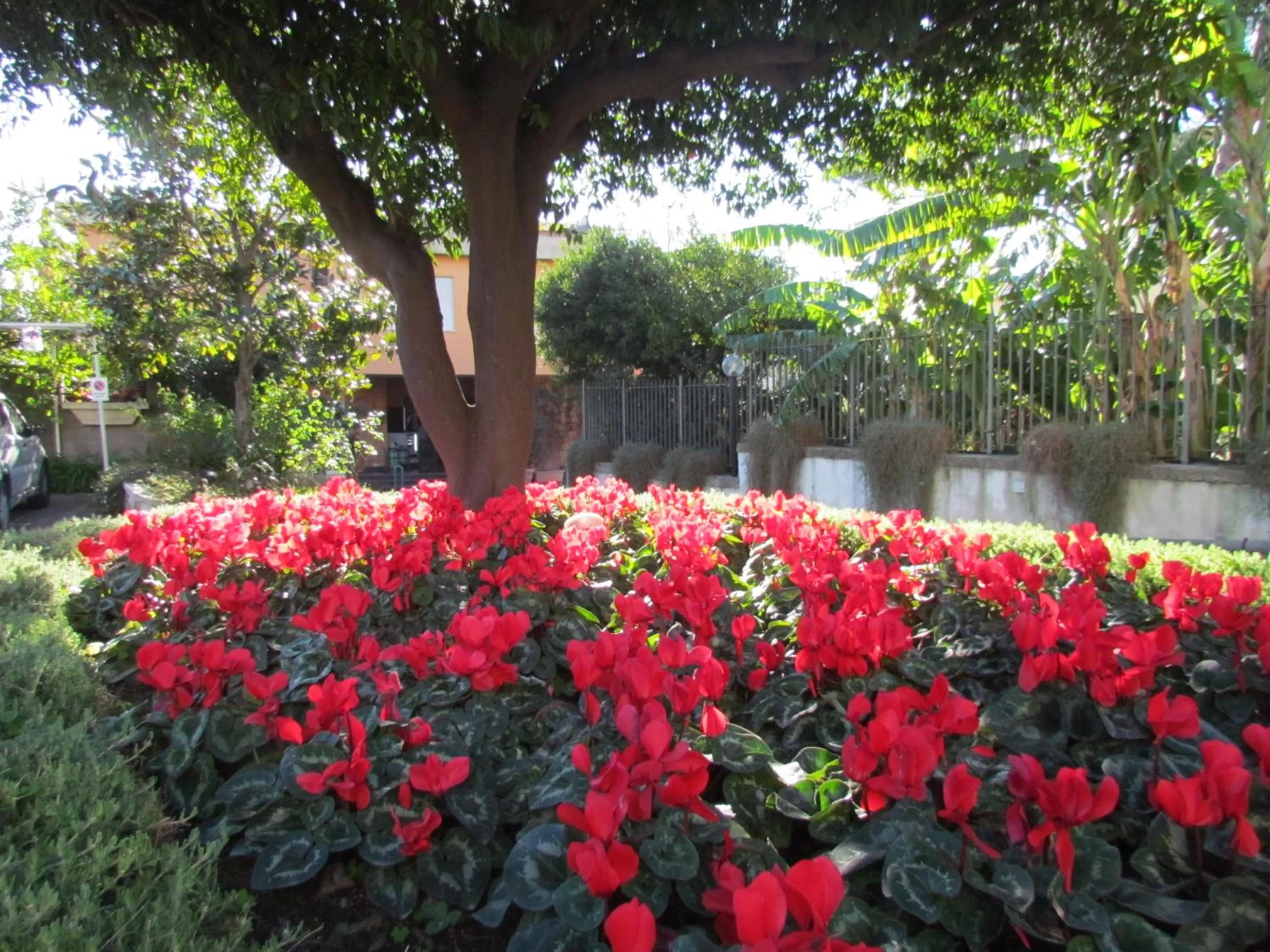 Garden view in Miramare Residence
