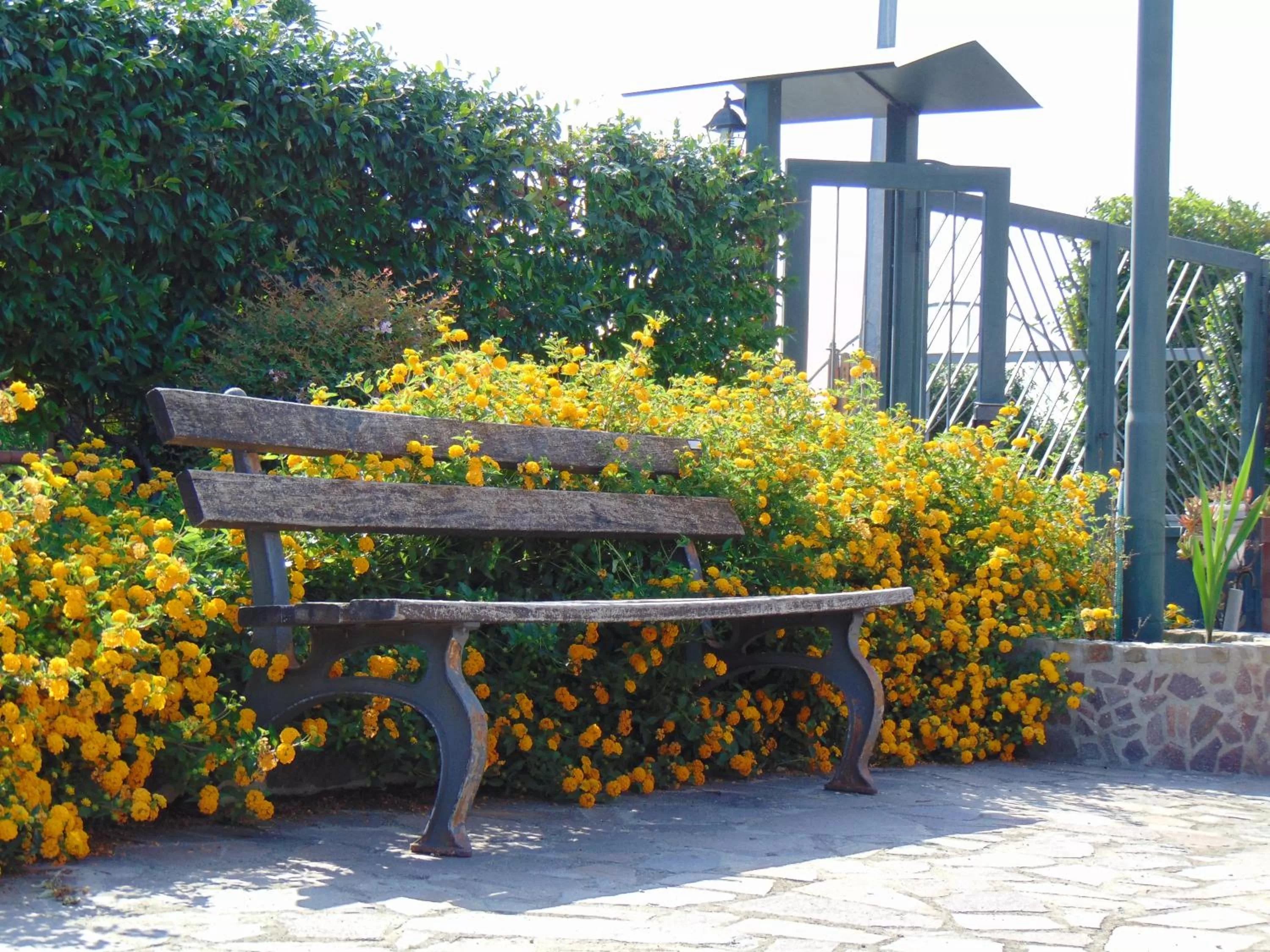 Garden in Villa Celeste B&B