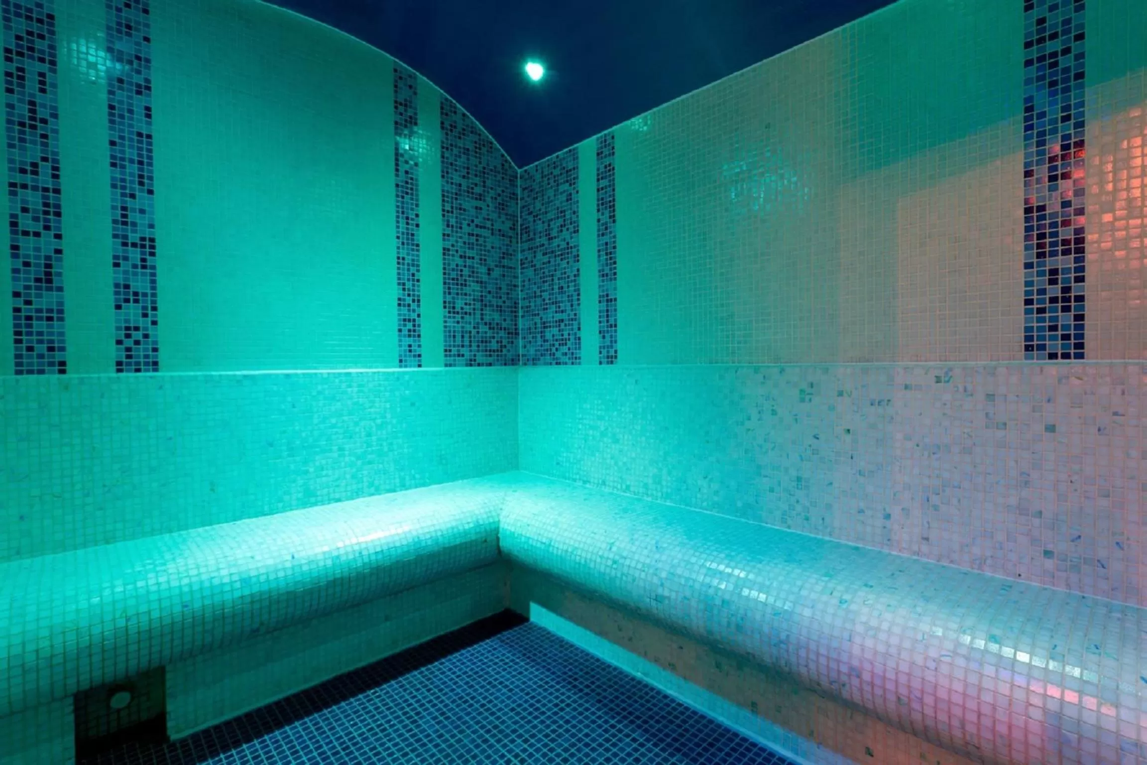 Spa and wellness centre/facilities in Hotel Swing