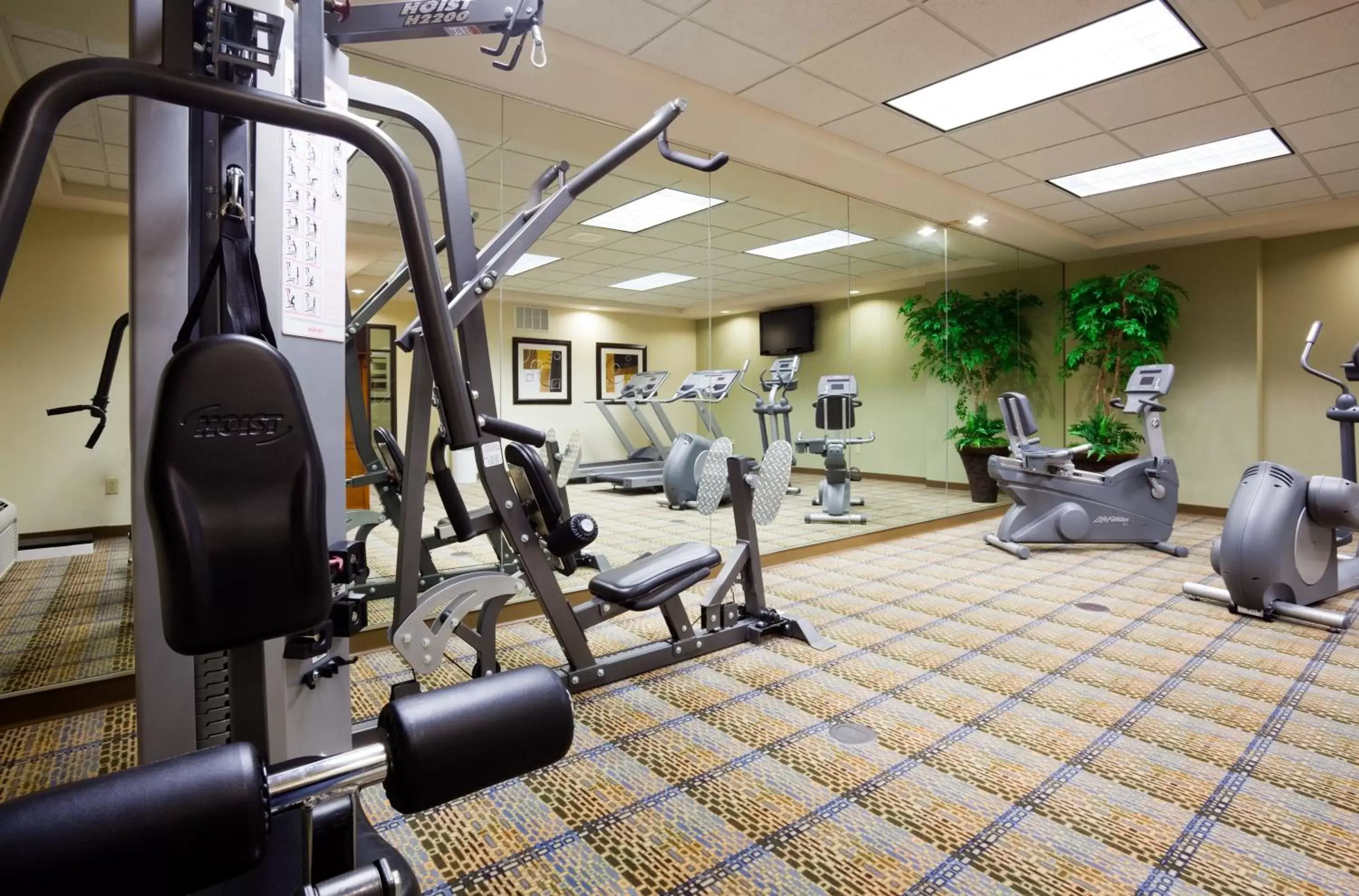 Fitness centre/facilities, Fitness Center/Facilities in Holiday Inn Express & Suites Madison-Verona, an IHG Hotel