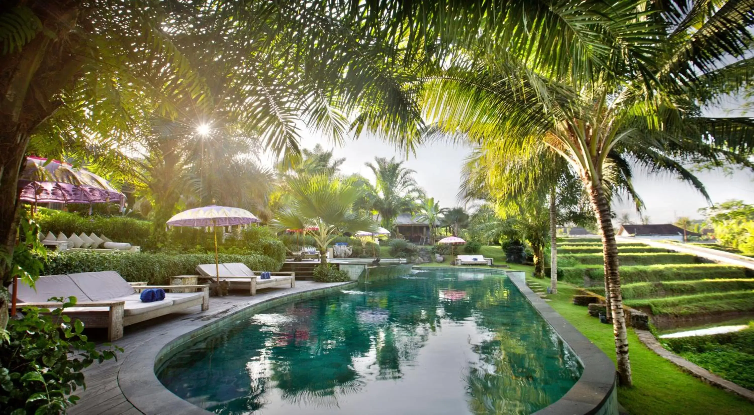 Swimming Pool in Blue Karma Dijiwa Ubud